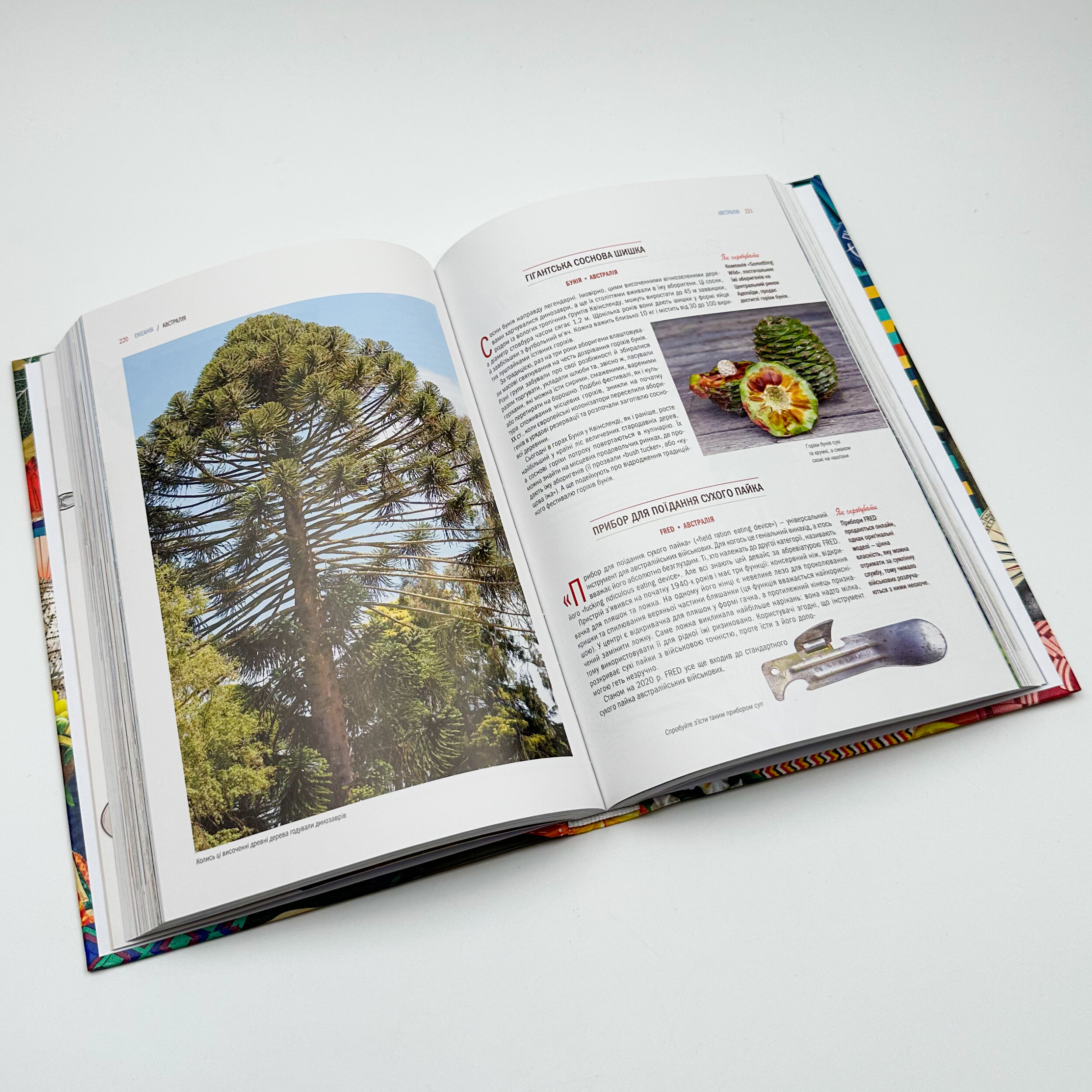 GASTRO OBSCURA. Найдивовижніші смачні місця планети. Автор — Сесілі Вонг, Ділан Тьюрас. 