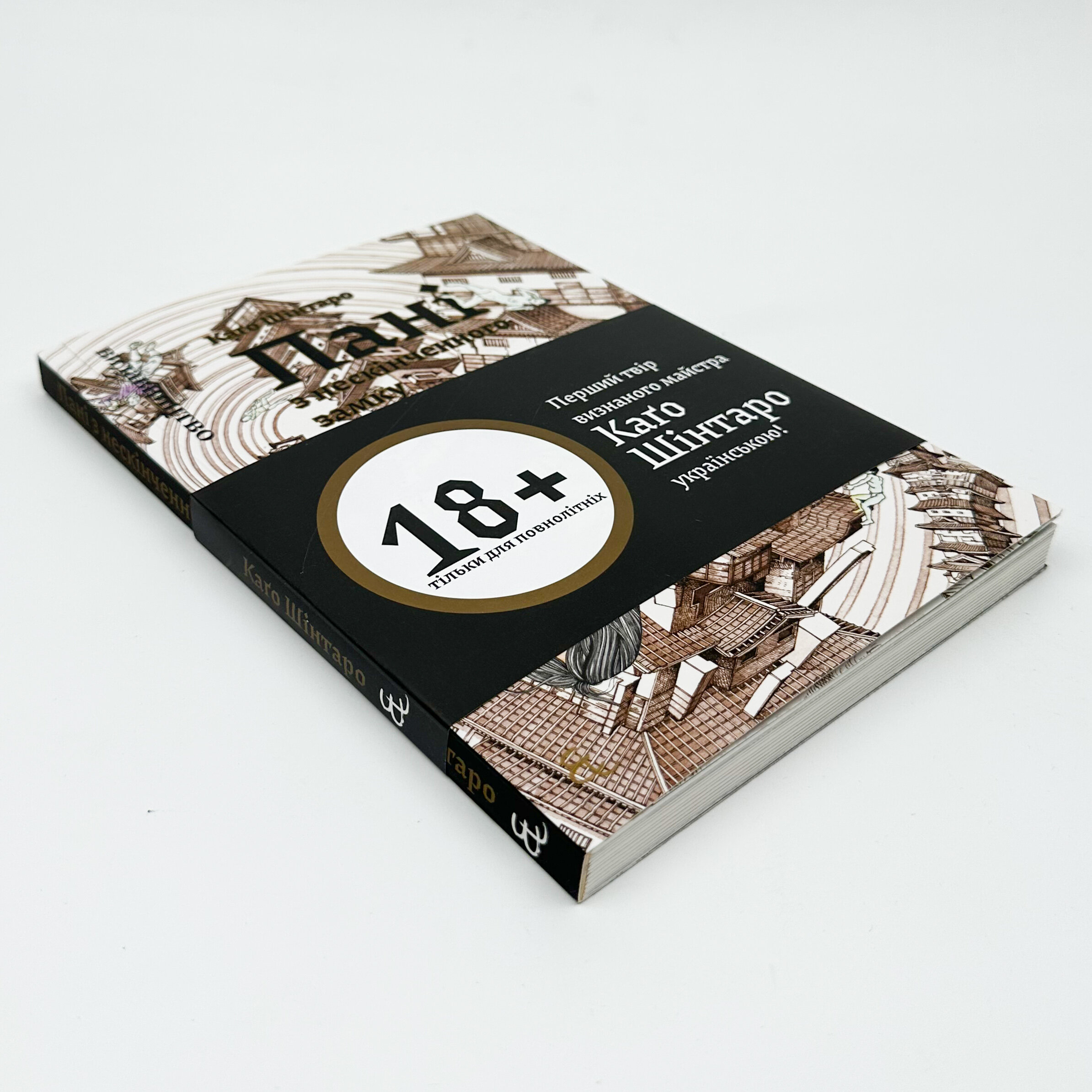 Пані з нескінченного замку