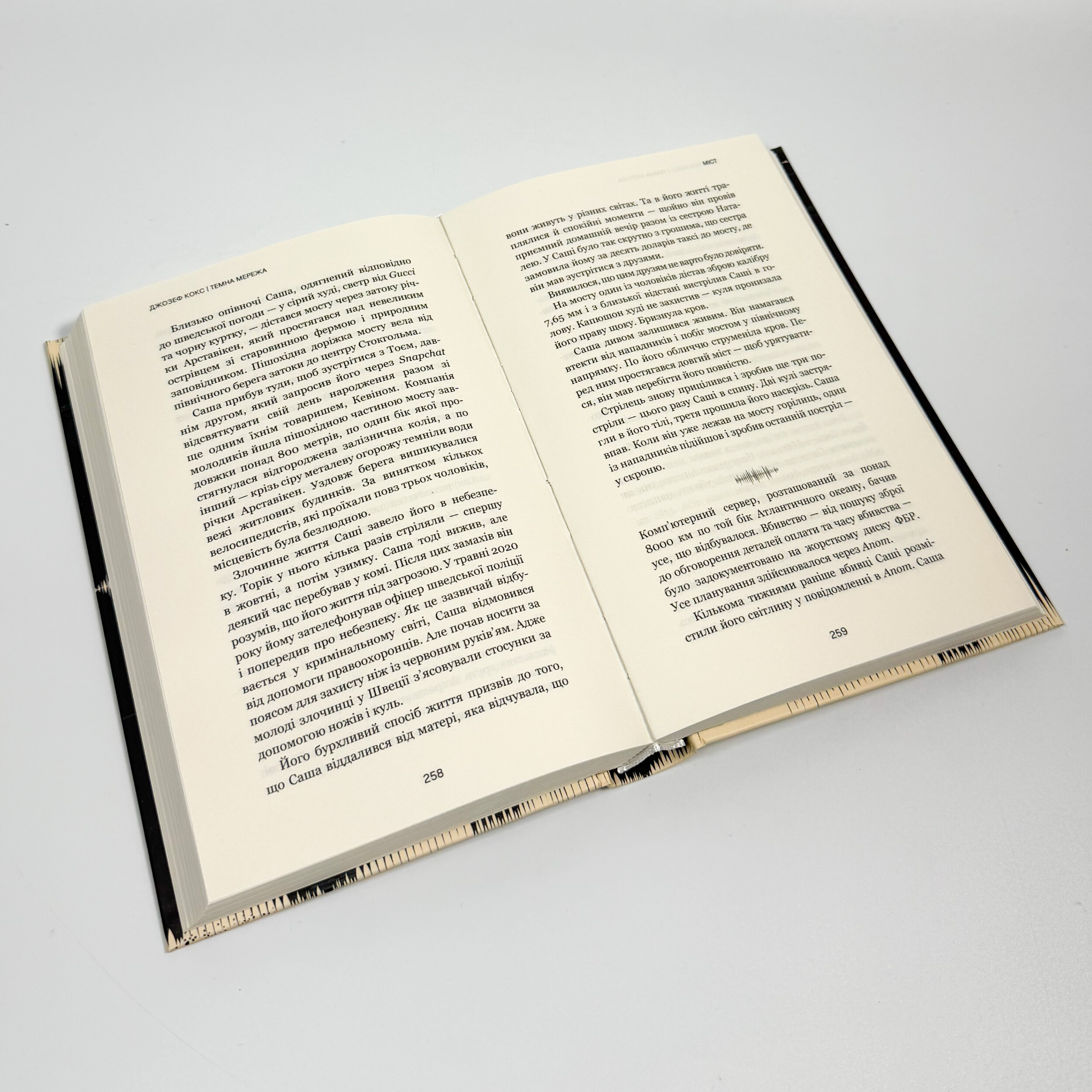 Темна мережа. Неймовірна й реальна історія наймасштабнішої спецоперації у світі. Автор — Джозеф Кокс. 