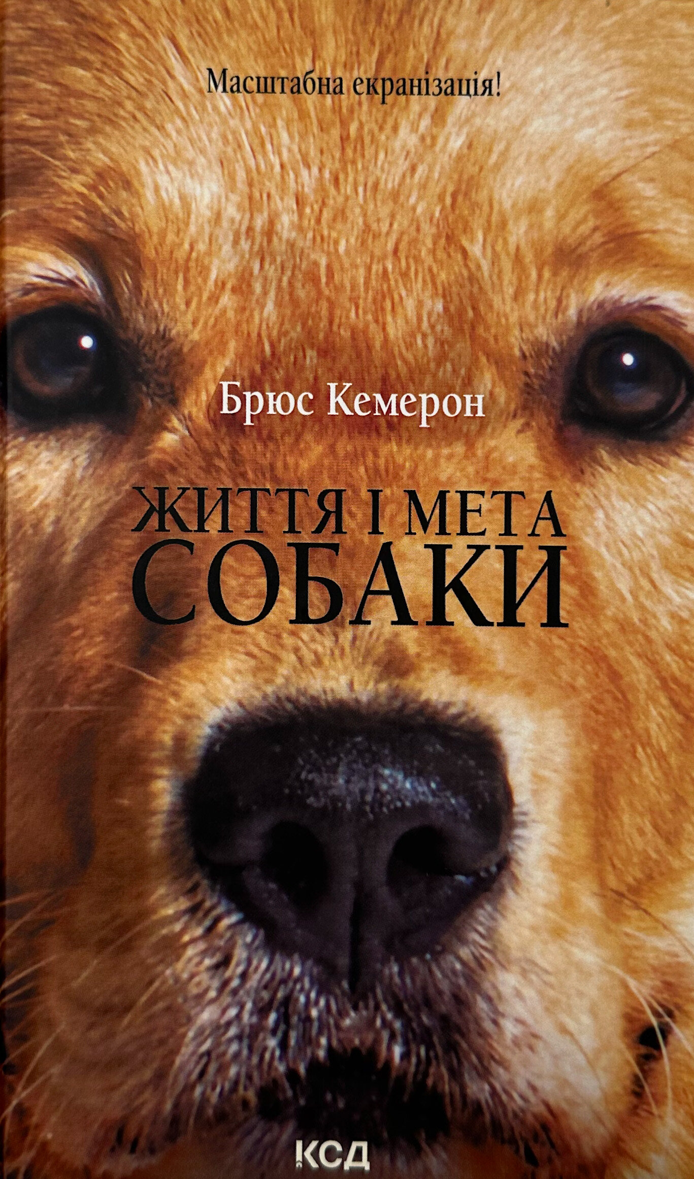 Життя і мета собаки