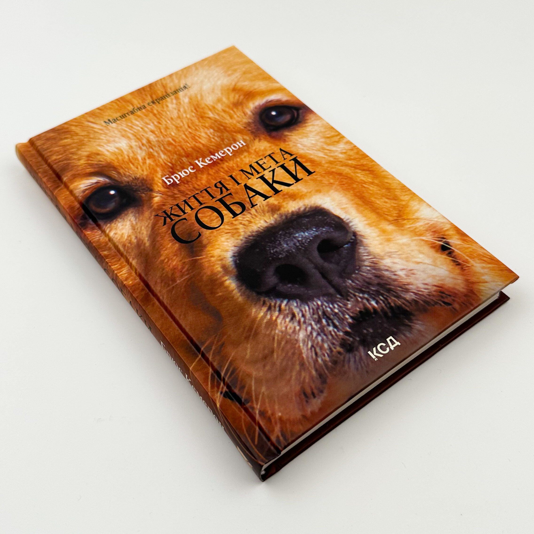 Життя і мета собаки