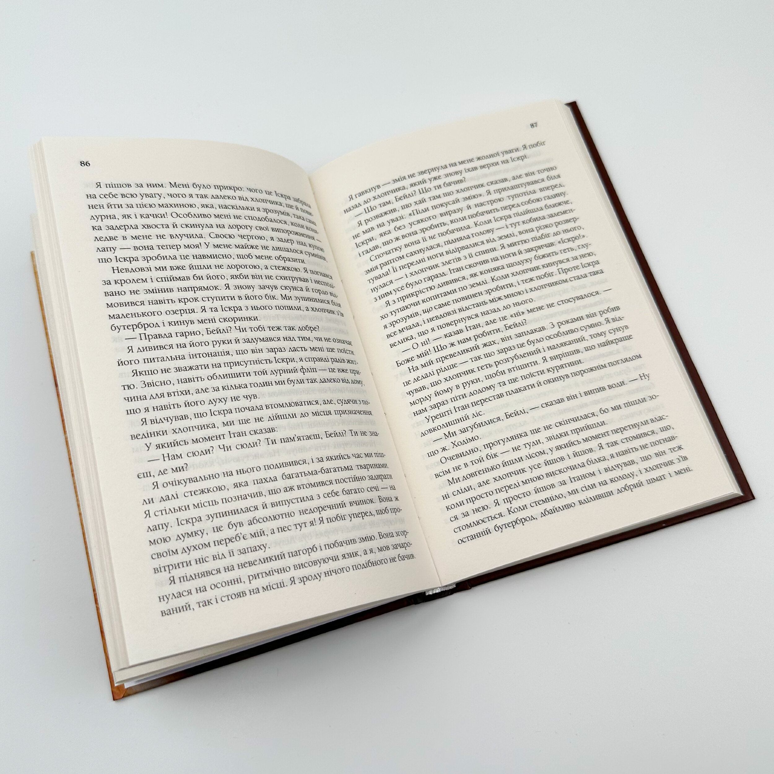 Життя і мета собаки. Автор — Брюс Кемерон. 