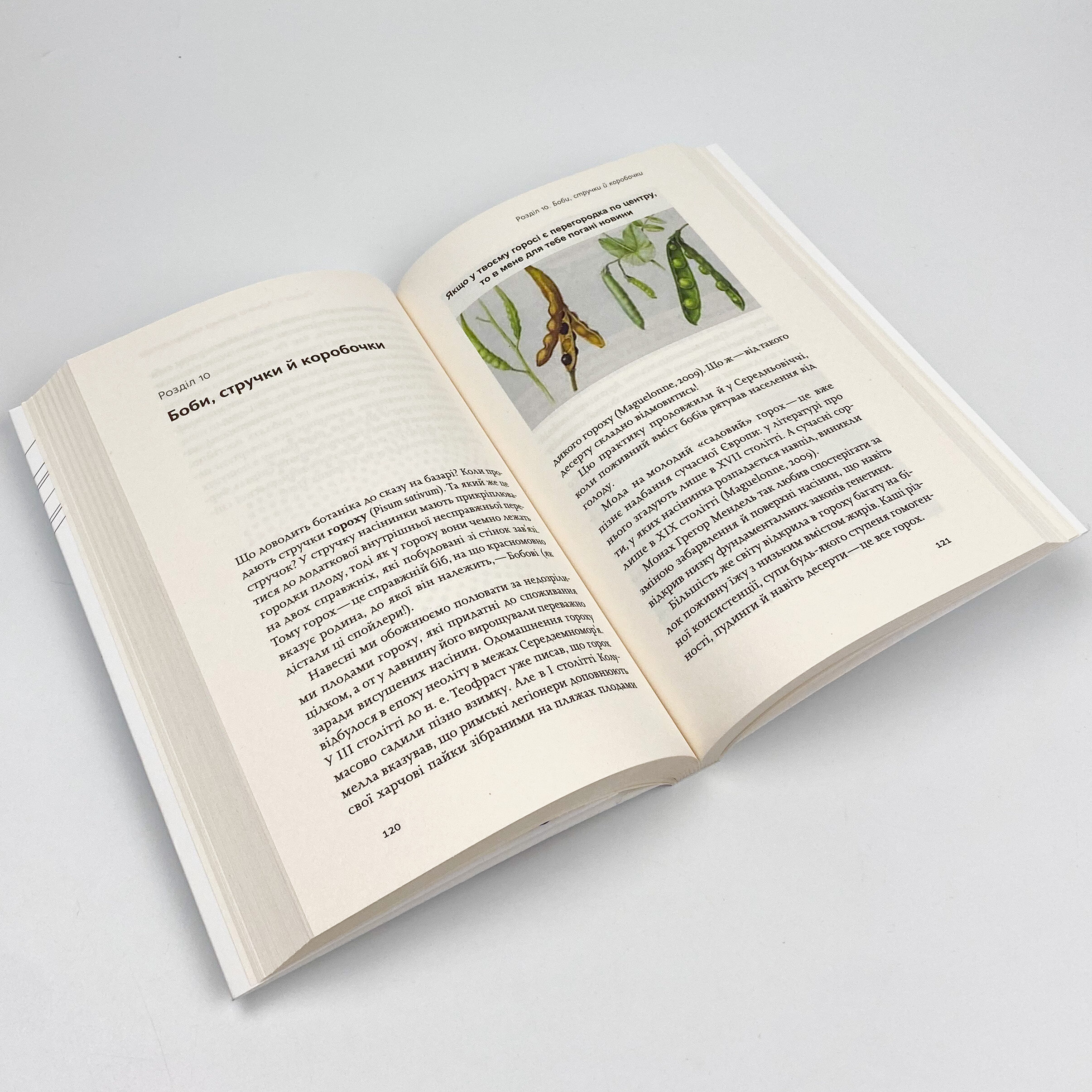 Фрукти проти овочів. Чому кавун — не ягода, а томат — це фрукт. Автор — Алексей Коваленко. 