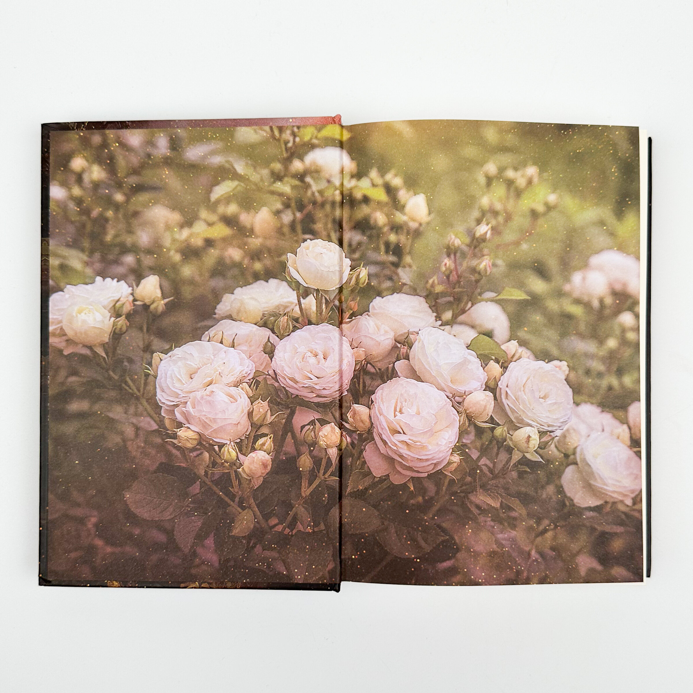 Єлизавета Йоркська. Остання Біла троянда. Автор — Елісон Вейр. 