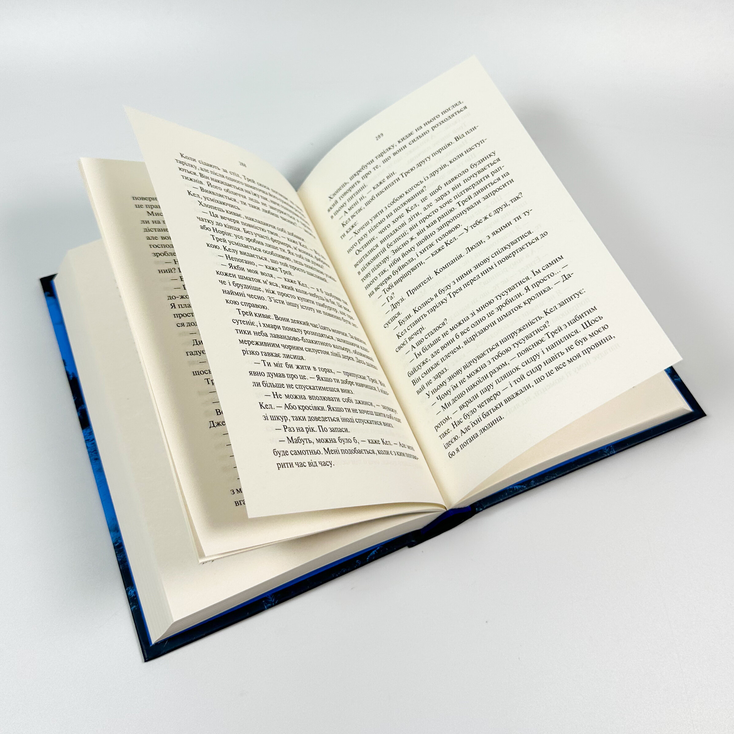 Шукач. Автор — Тана Френч. 