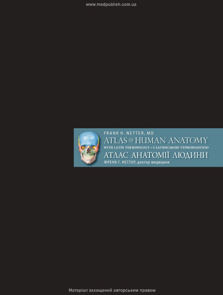 Атлас анатомії людини з латинською термінологією: 7-е видання