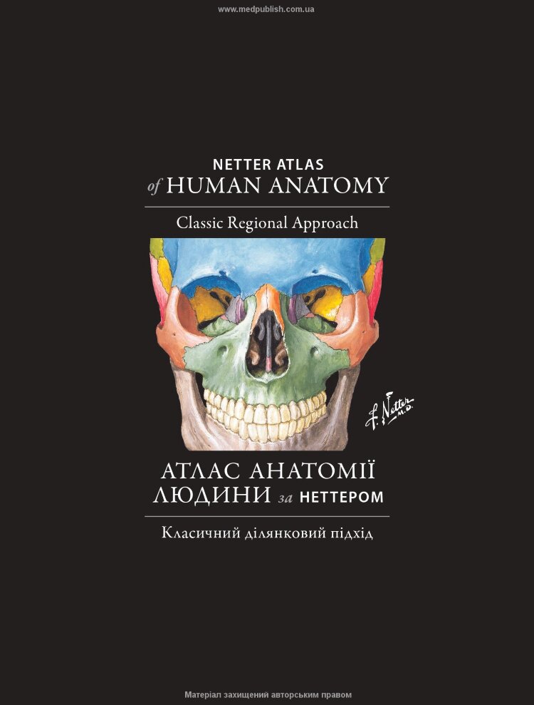 Атлас анатомії людини за Неттером: класичний ділянковий підхід: 8-е видання