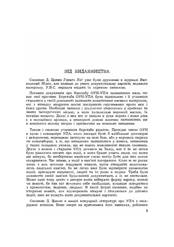 Горить ліс