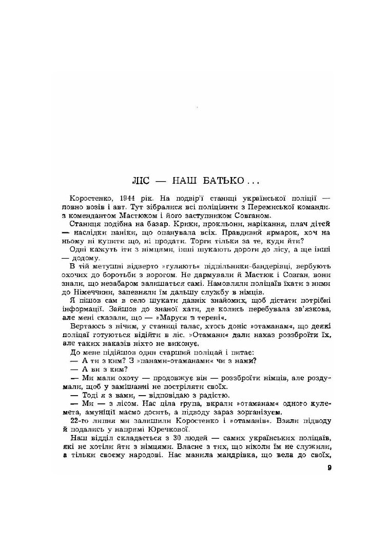 Горить ліс