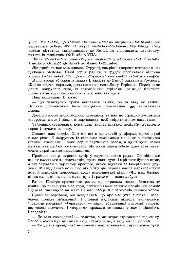 Горить ліс