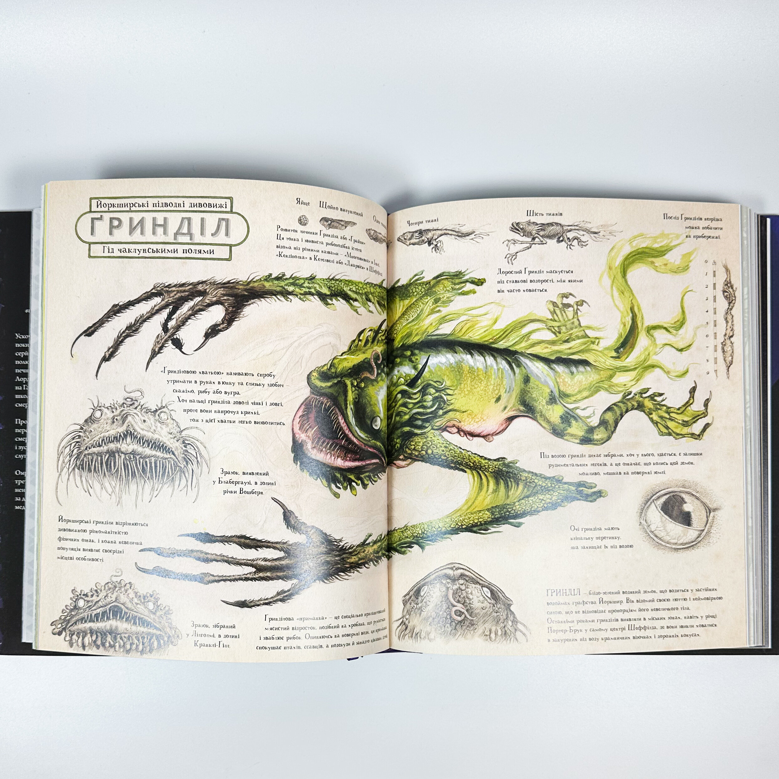 Гаррі Поттер і в’язень Азкабану. Ілюстроване видання. Автор — Дж. К. Ролінґ. 