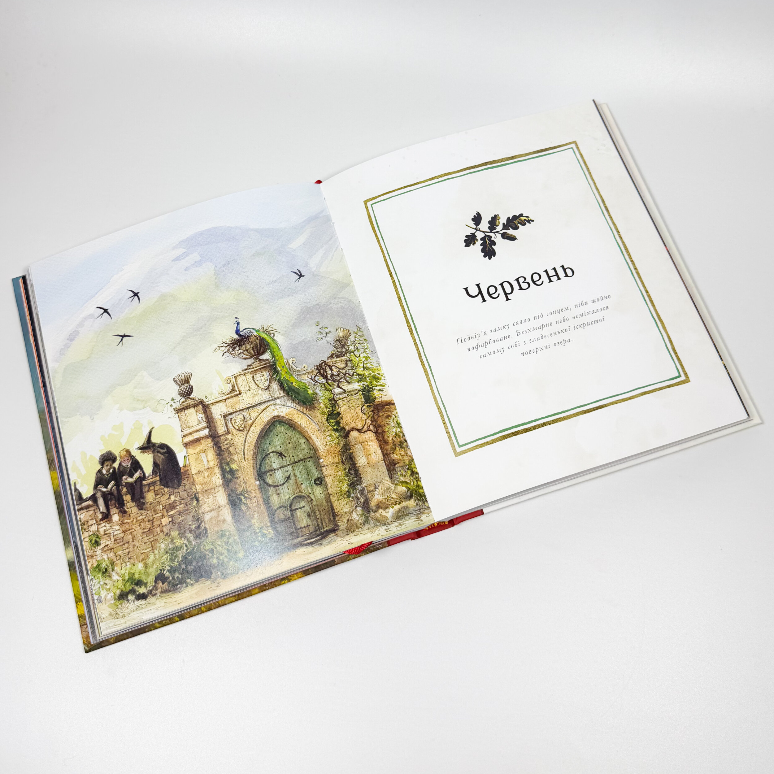 Гаррі Поттер: Магічний рік. Велике ілюстроване видання