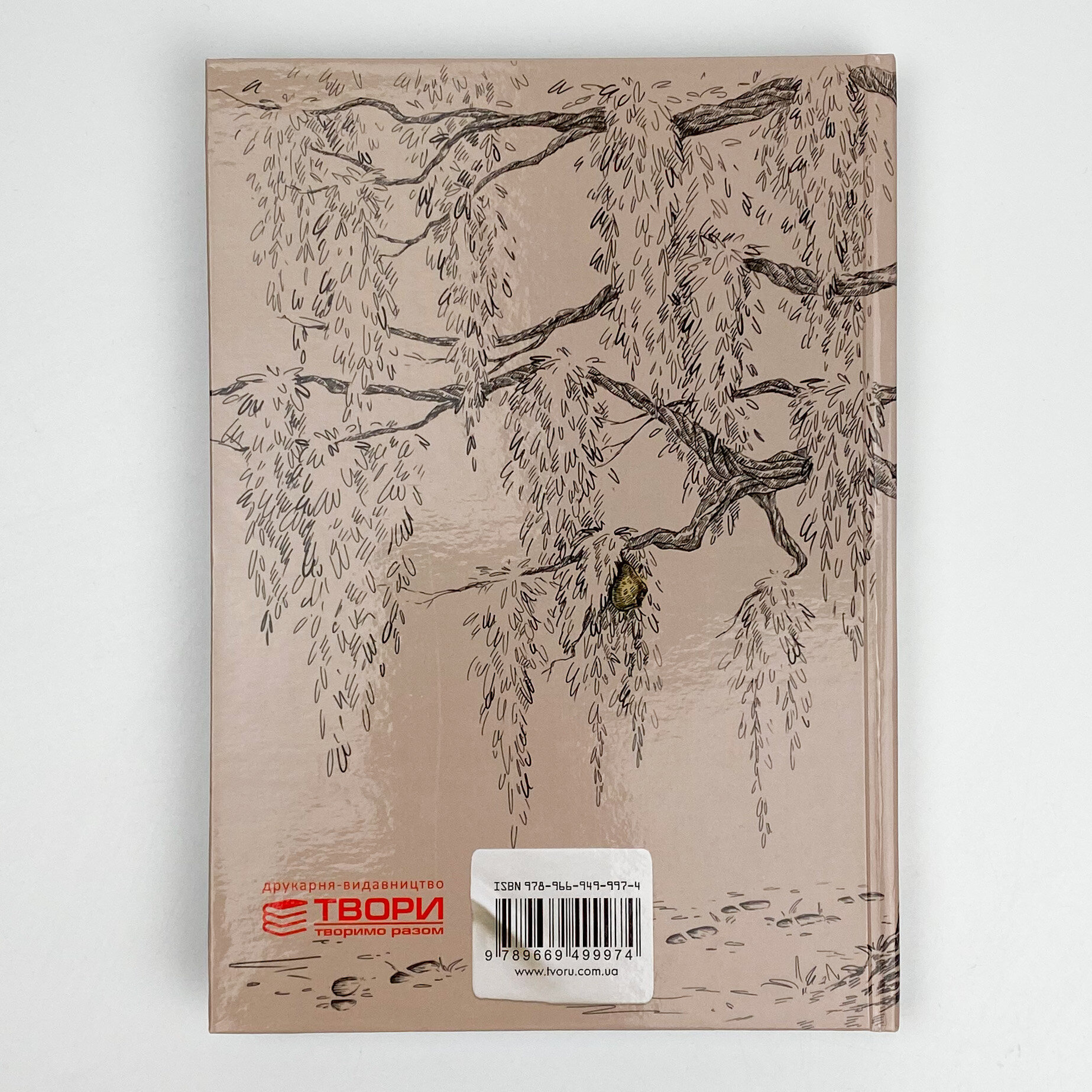 Біжу, аби бігти.... Автор — Юлія Гапека. 