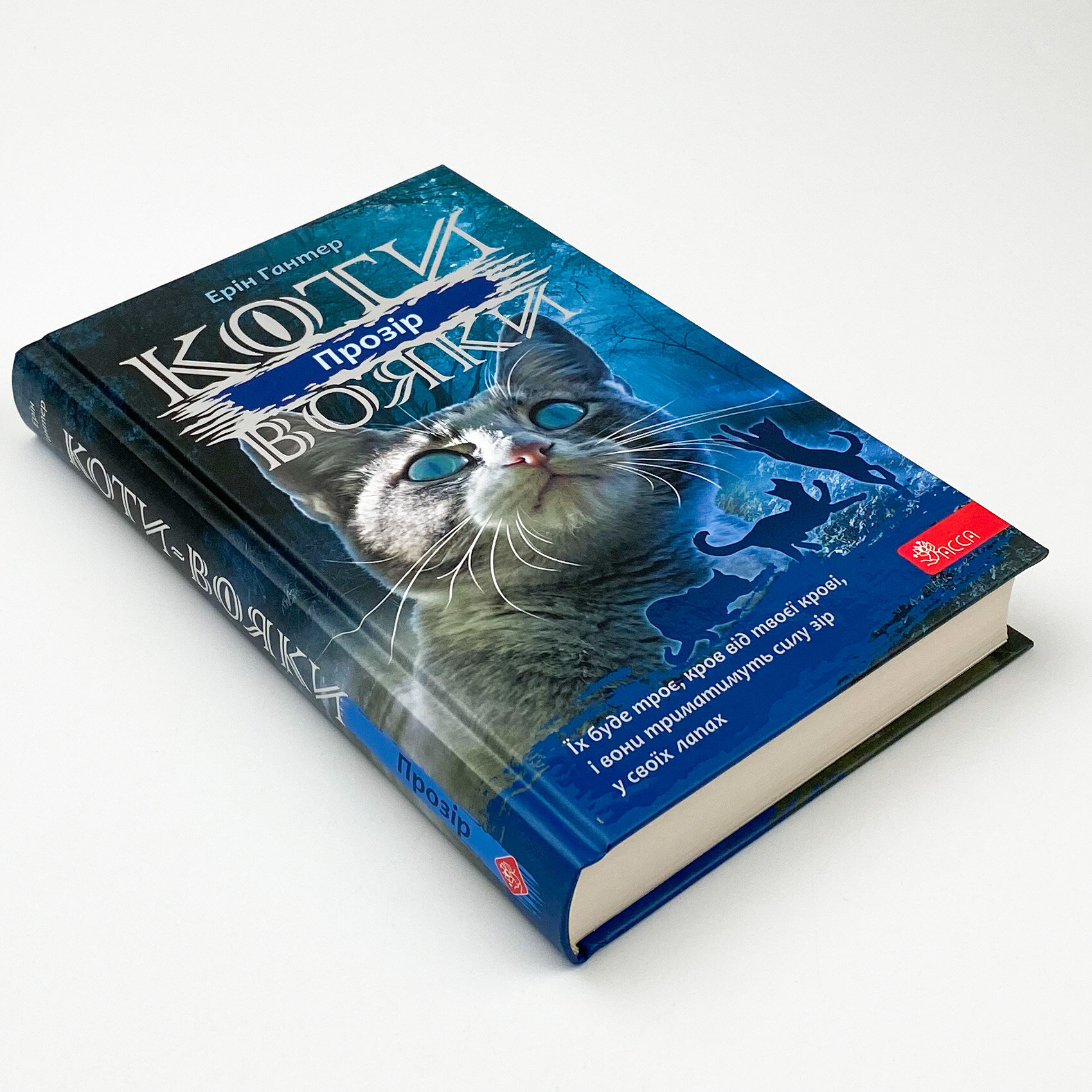 Коти-вояки. Сила трьох. Книга 1. Прозір