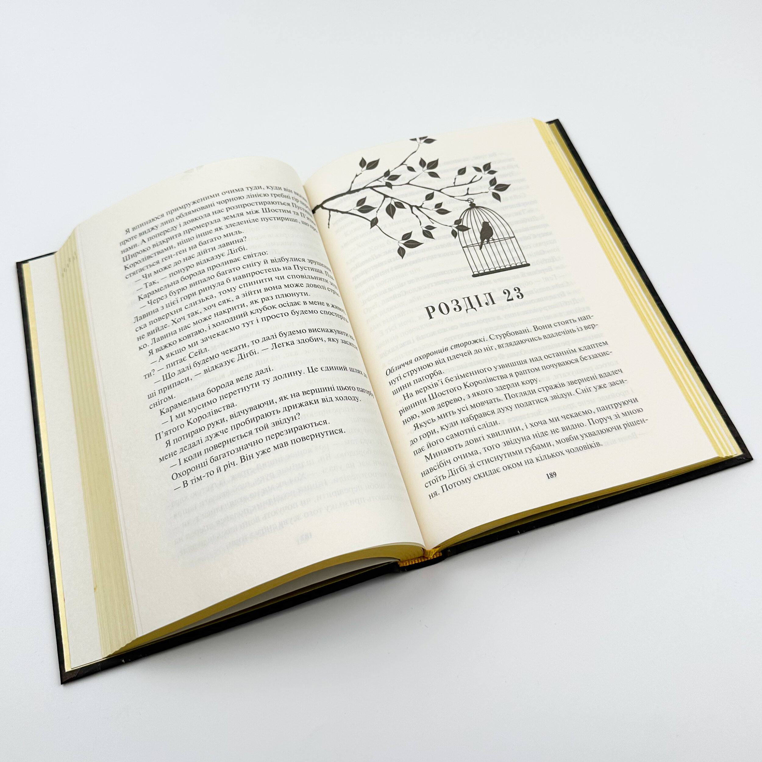 Блиск. Автор — Рейвен Кеннеді. 