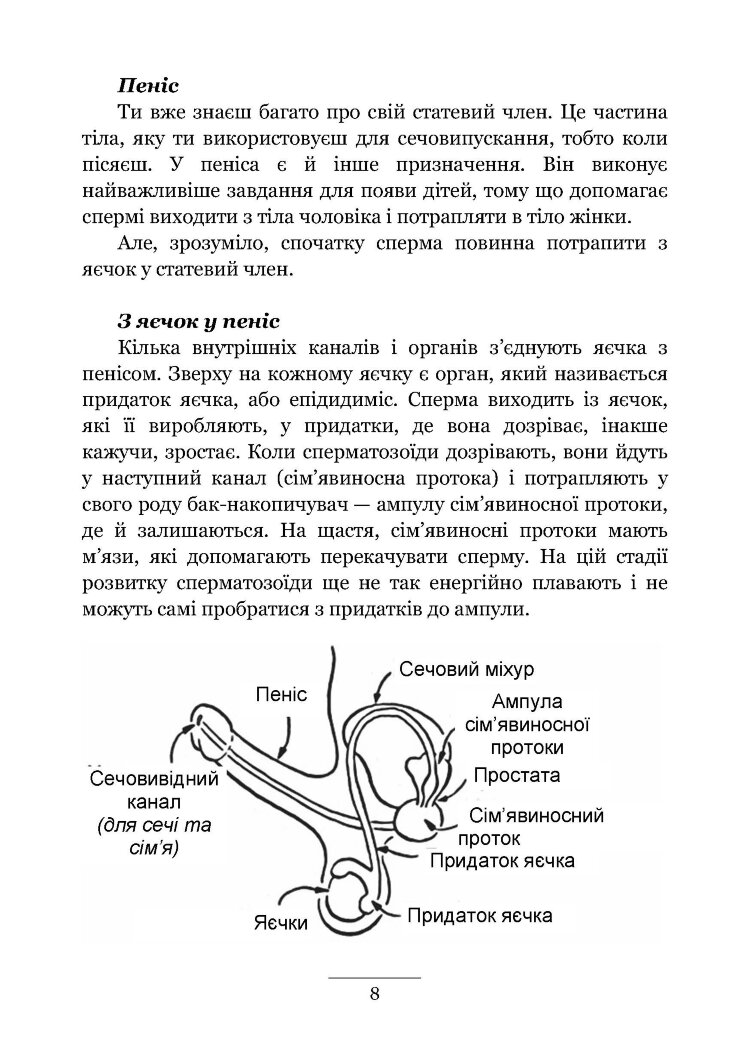 Хлопцям про важливе. Усе, що ти хотів знати про дорослішання, зміни тіла, стосунки та багато іншого
