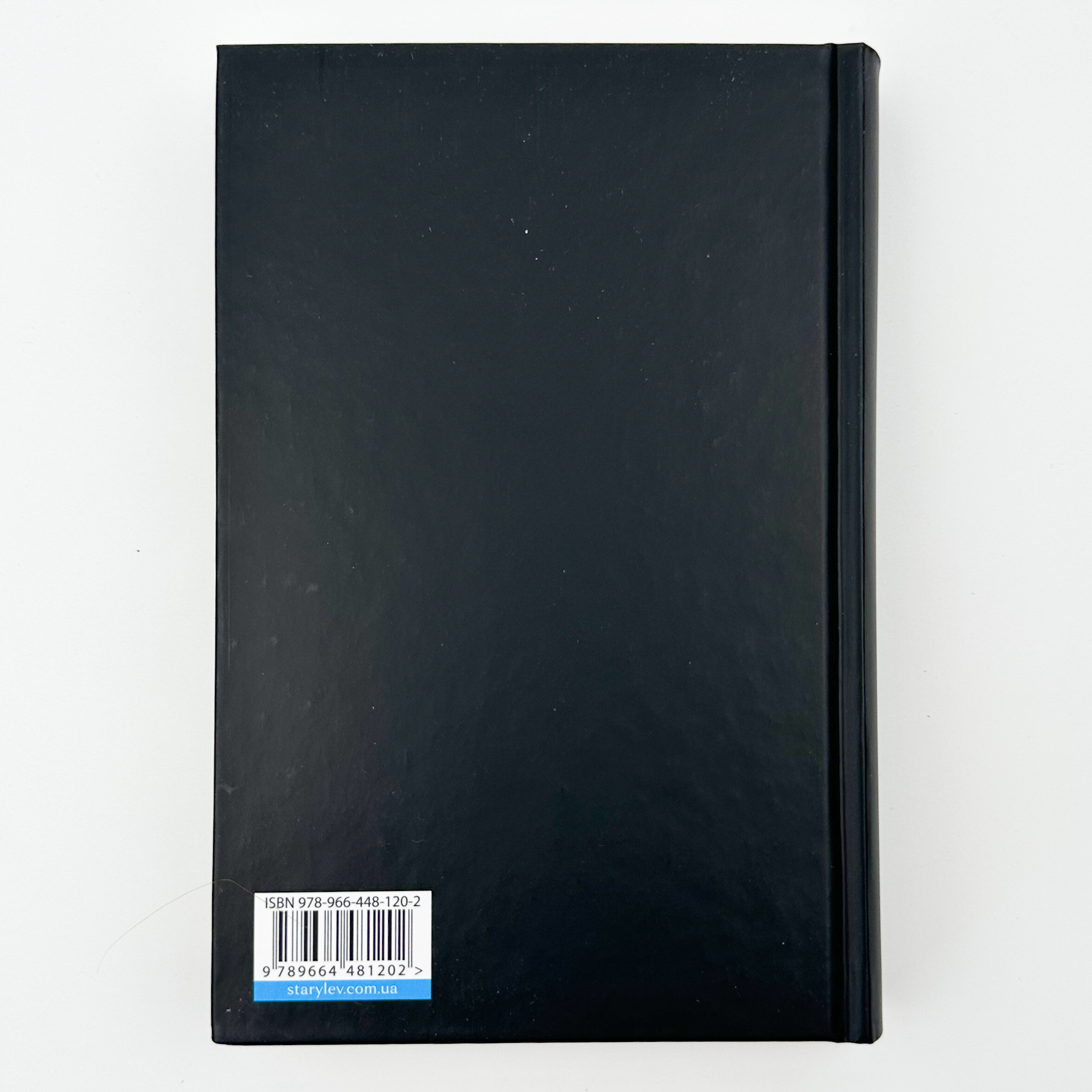 Спорудження мосту. Автор — Костянтин Москалець. 