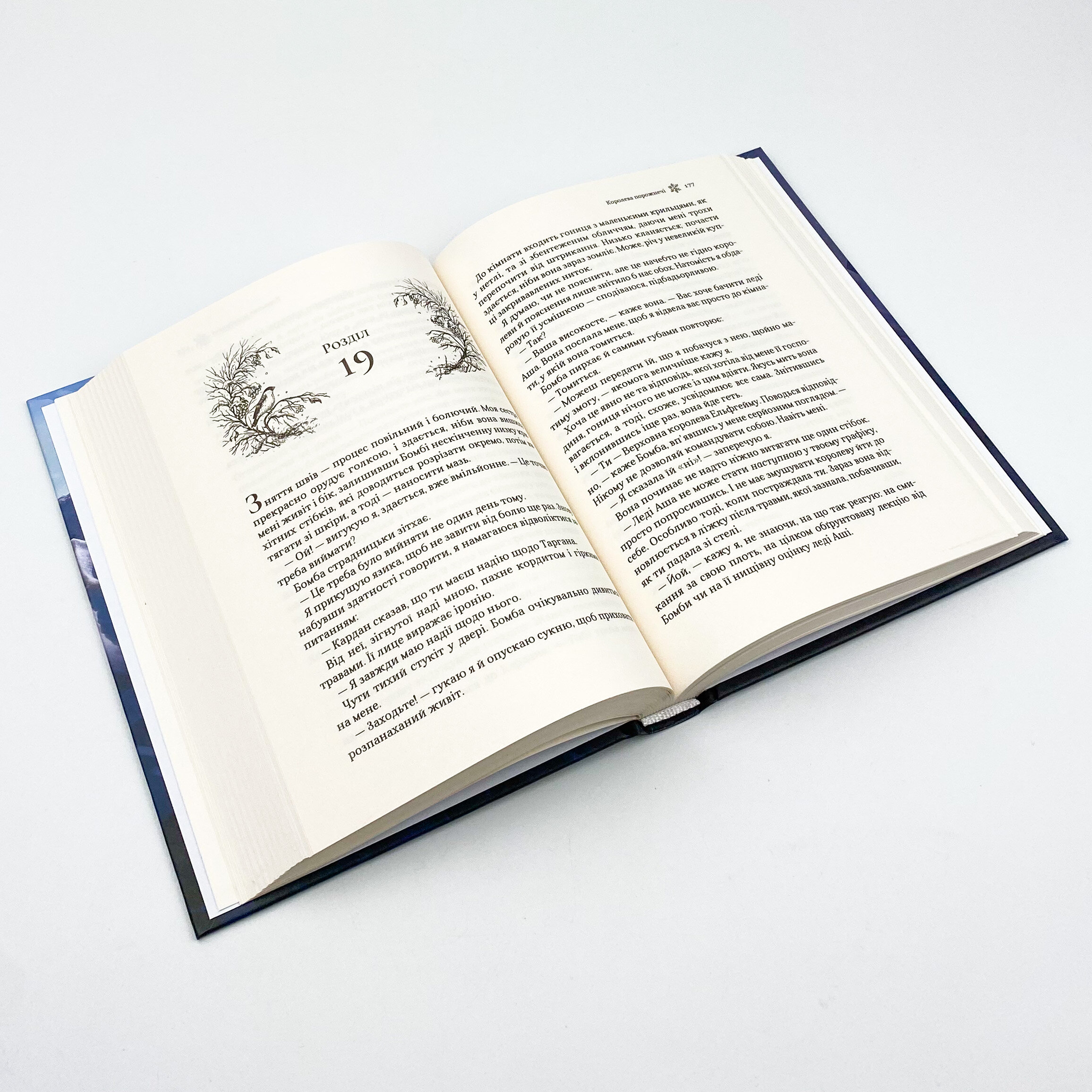 Королева порожнечі. Автор — Блек Голлі. 