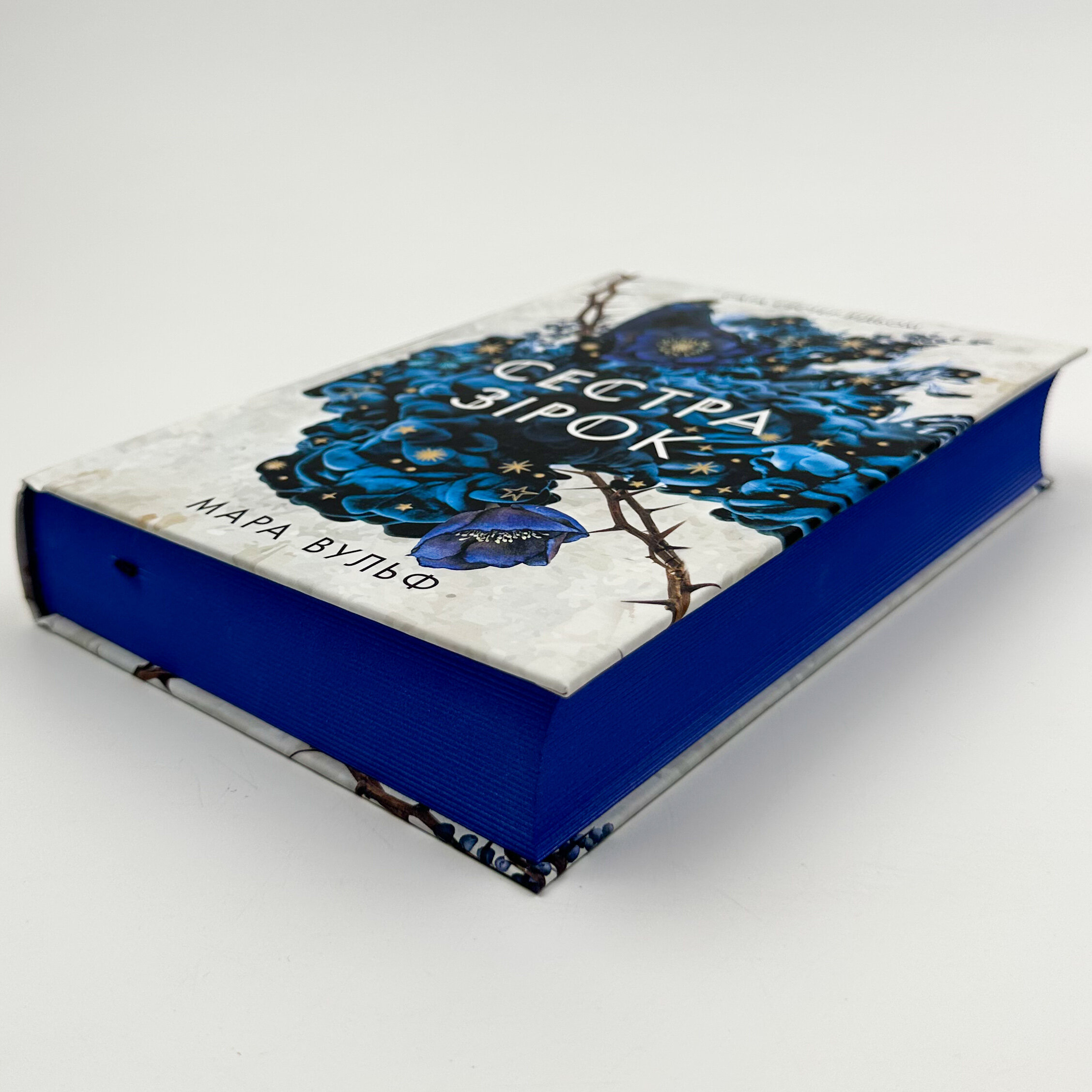 Сестра зірок. Книга 1. Сага сестер-відьом