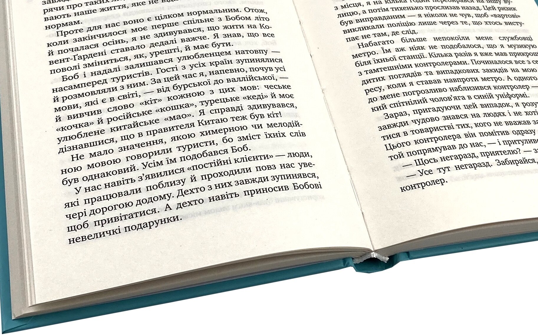 Вуличний кіт на ім’я Боб. Автор — Джеймс Бовен. 