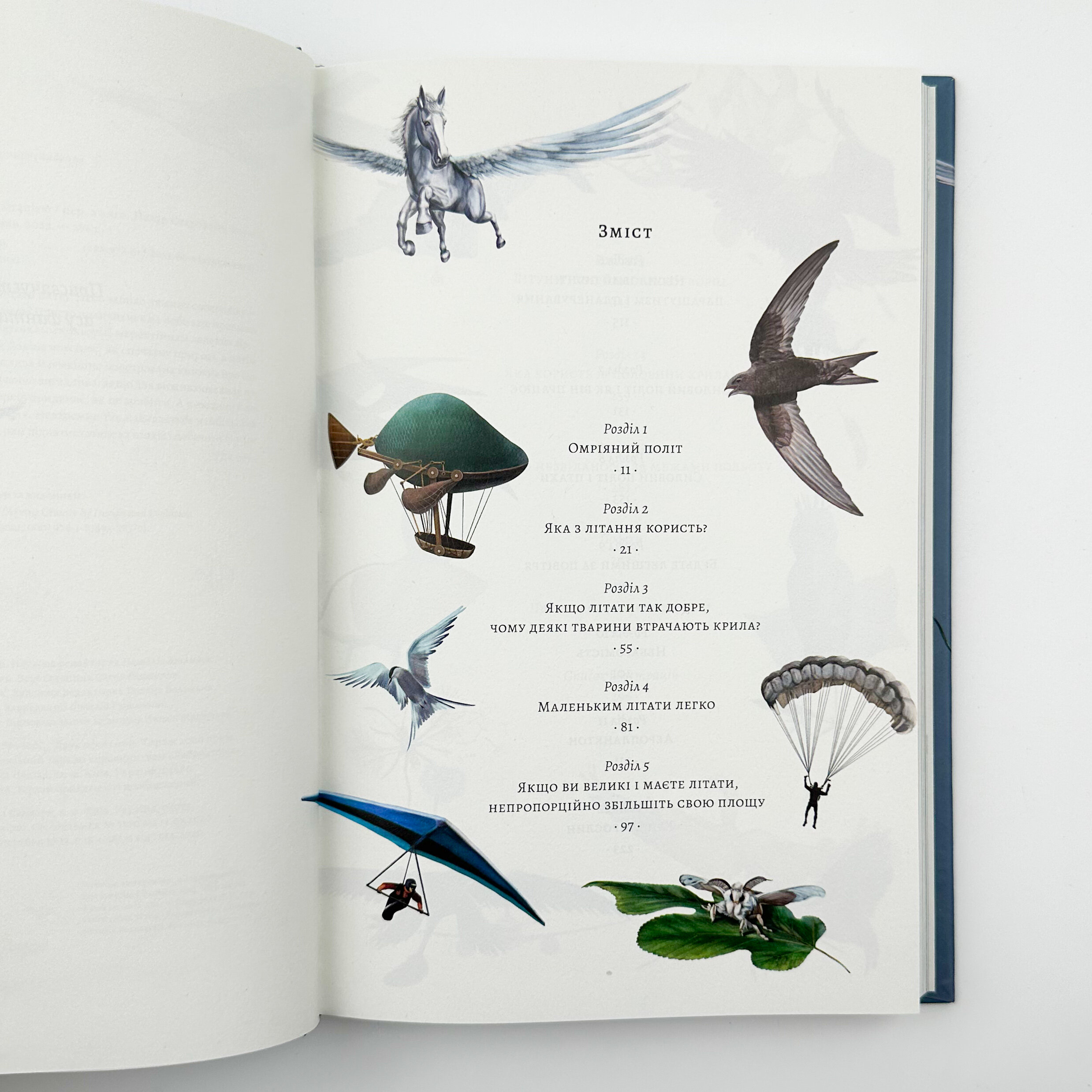 Політ фантазії. Природні і рукотворні способи обійти гравітацію