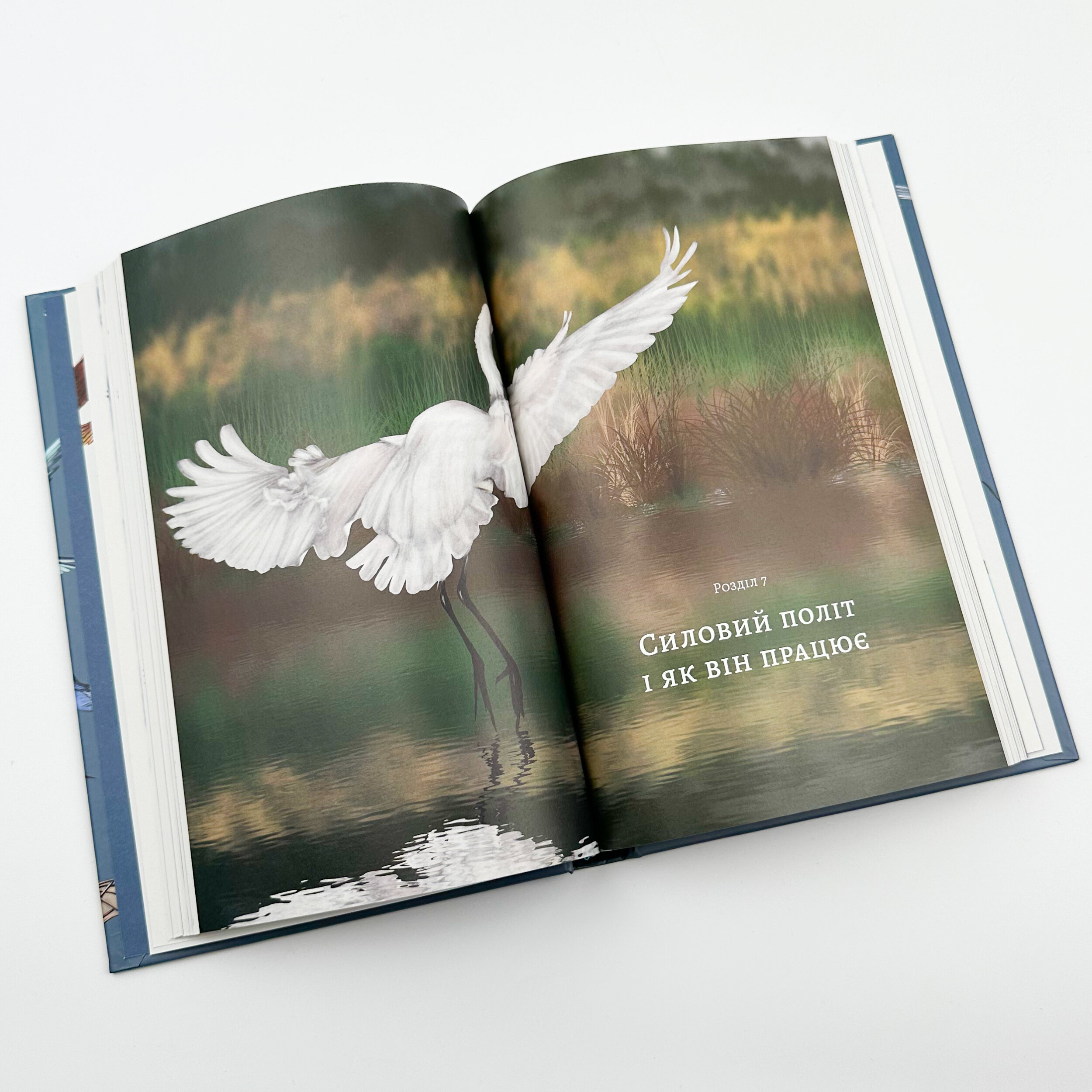 Політ фантазії. Природні і рукотворні способи обійти гравітацію. Автор — Ричард Докинз. 