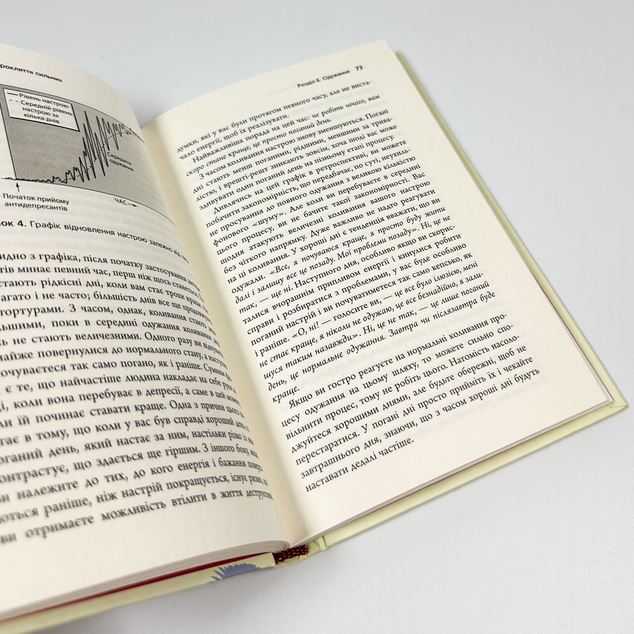 Депресія — прокляття сильних. Як боротися з найпоширенішою хворобою в світі. Автор — Тім Кантофер. 