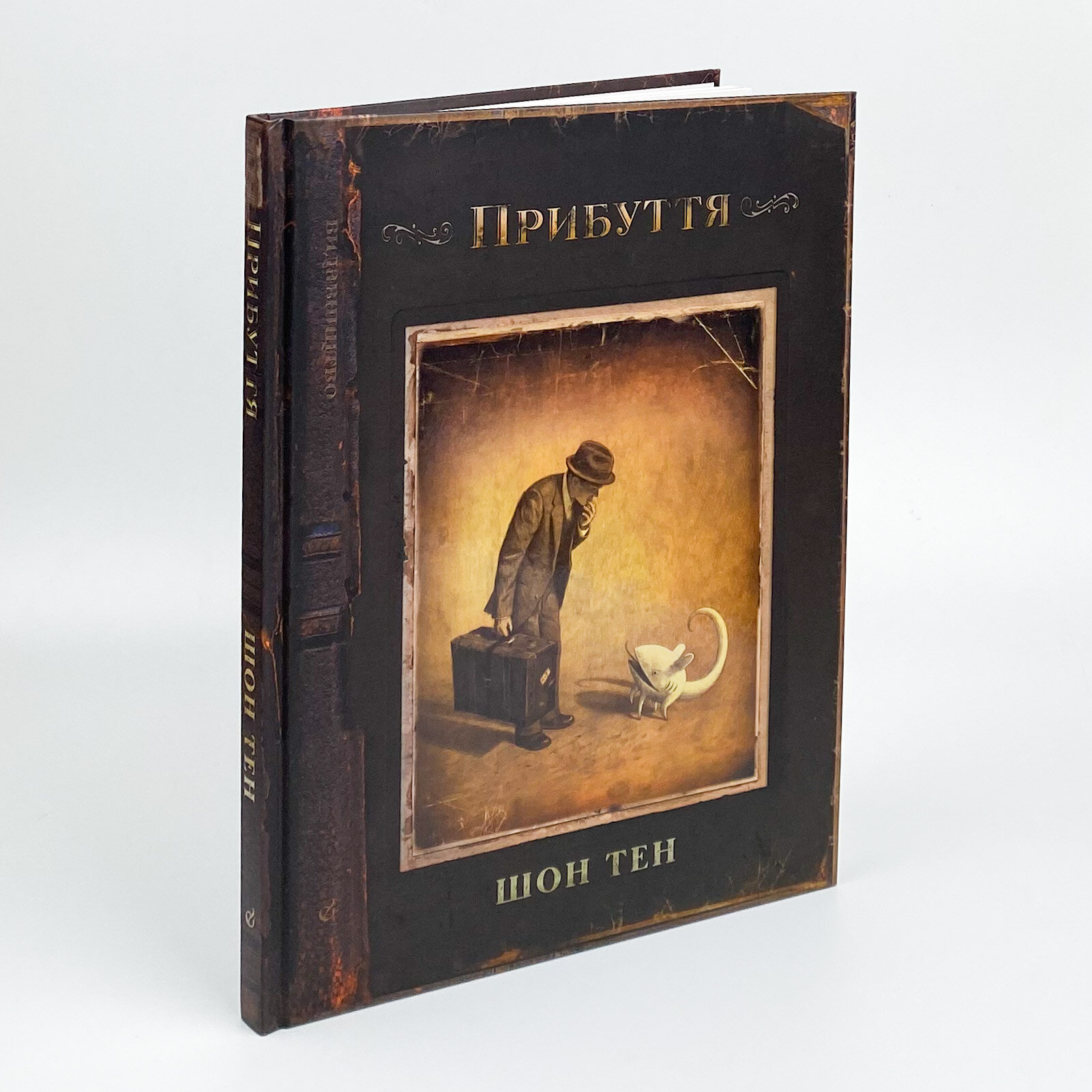 Прибуття. Автор — Шон Тан. 