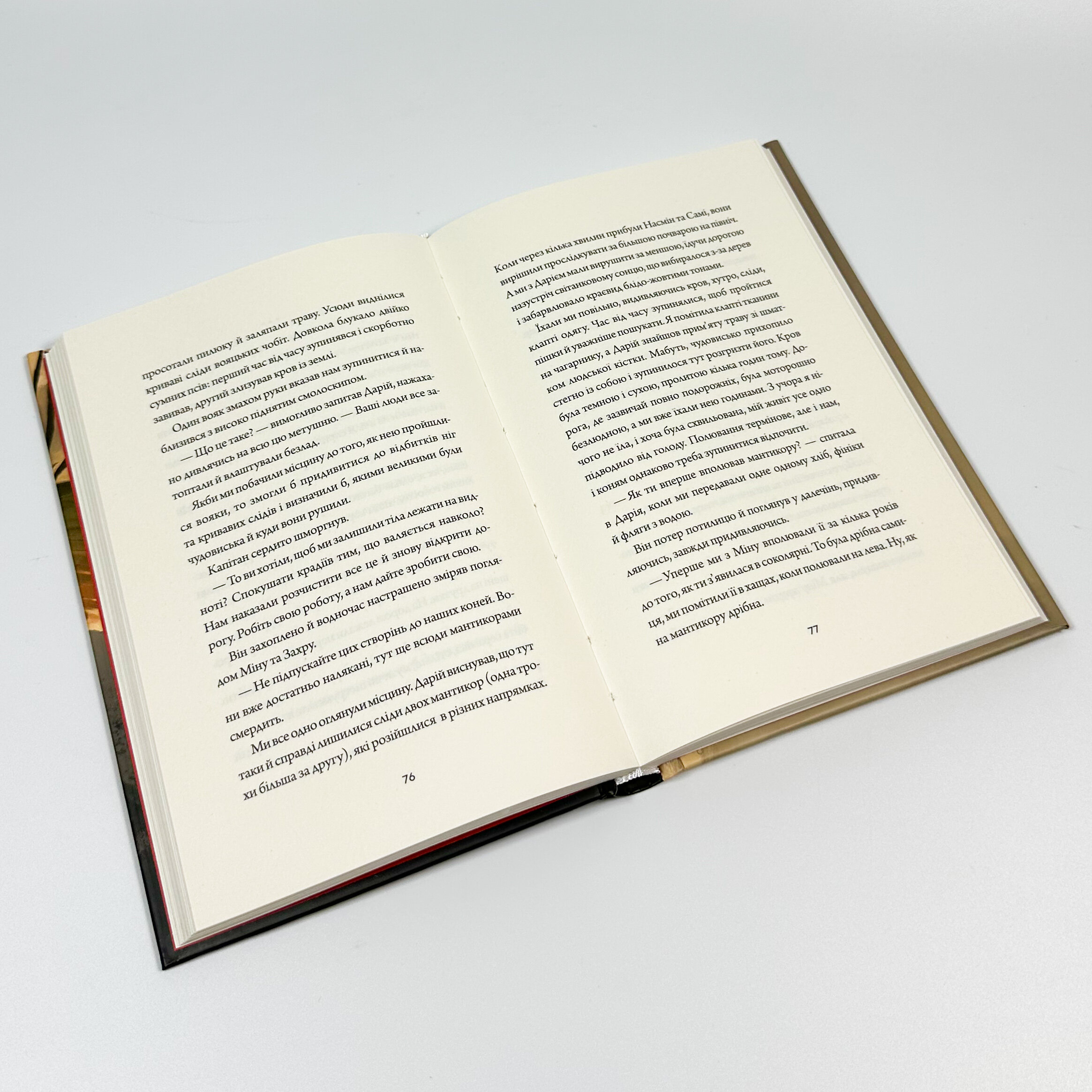 Невпокорене небо. Автор — Фонда Лі. 