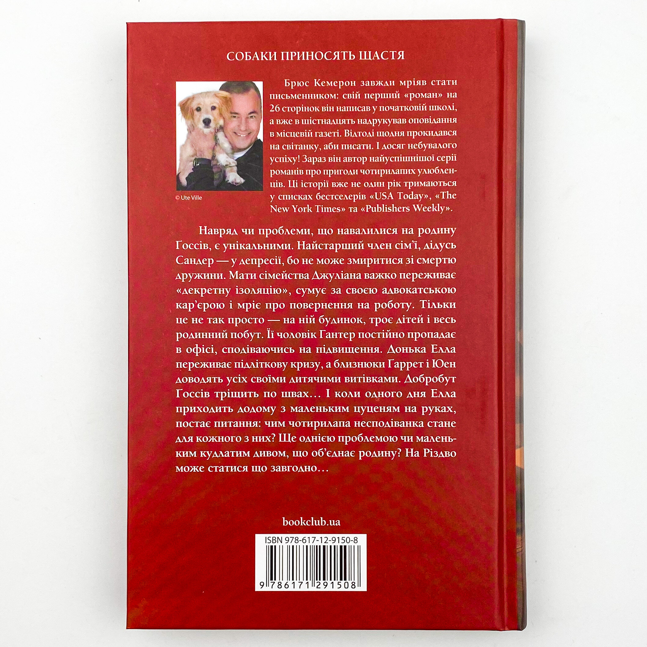 Ідеальне Різдво для собаки