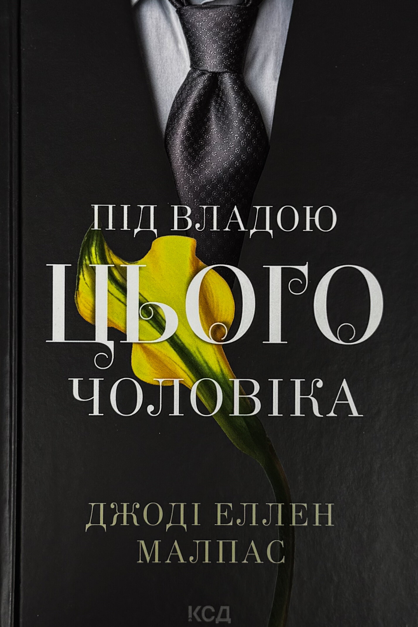 Під владою цього чоловіка. Книга 2