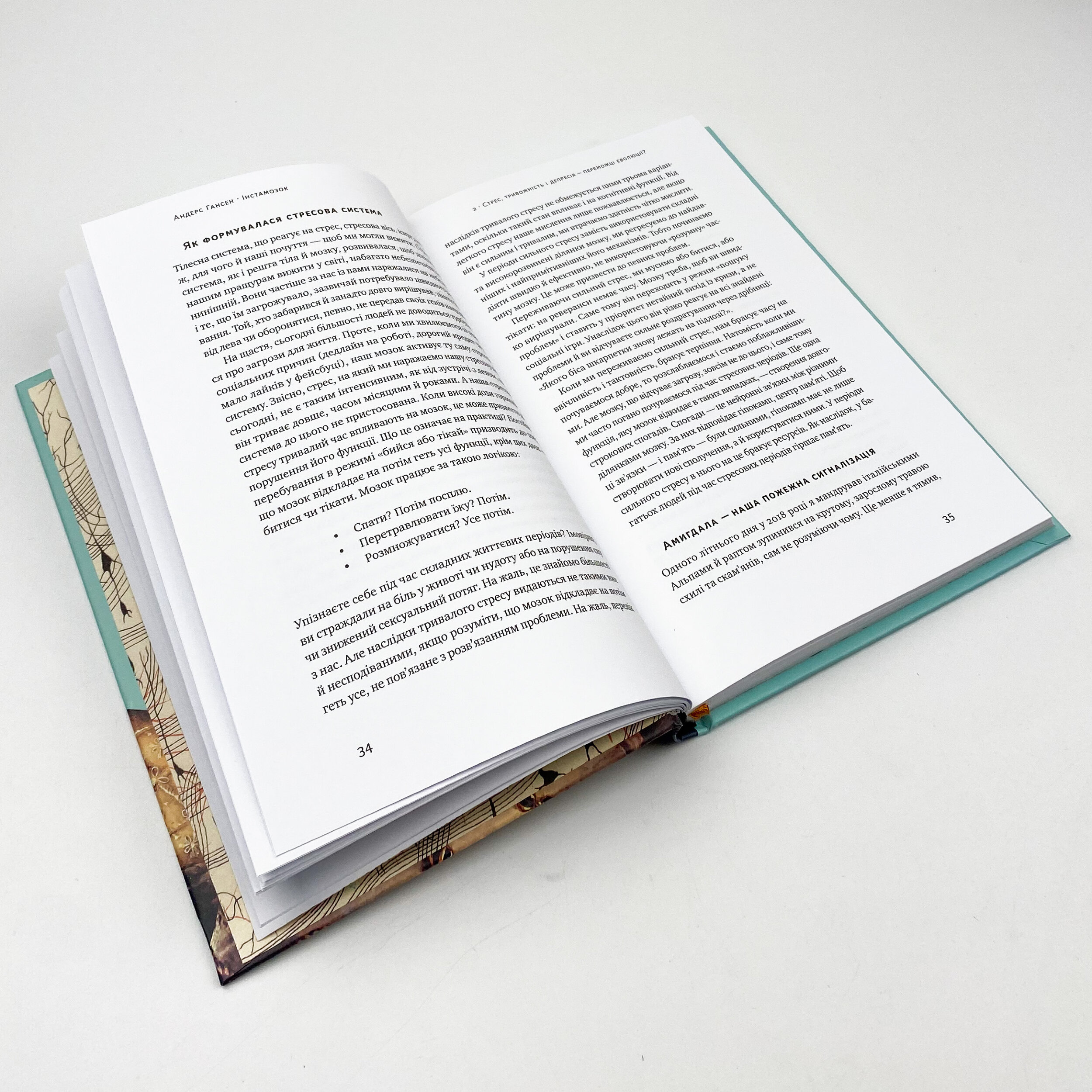 Інстамозок. Як екранна залежність призводить до стресів і депресії. Автор — Андерс Хансен. 