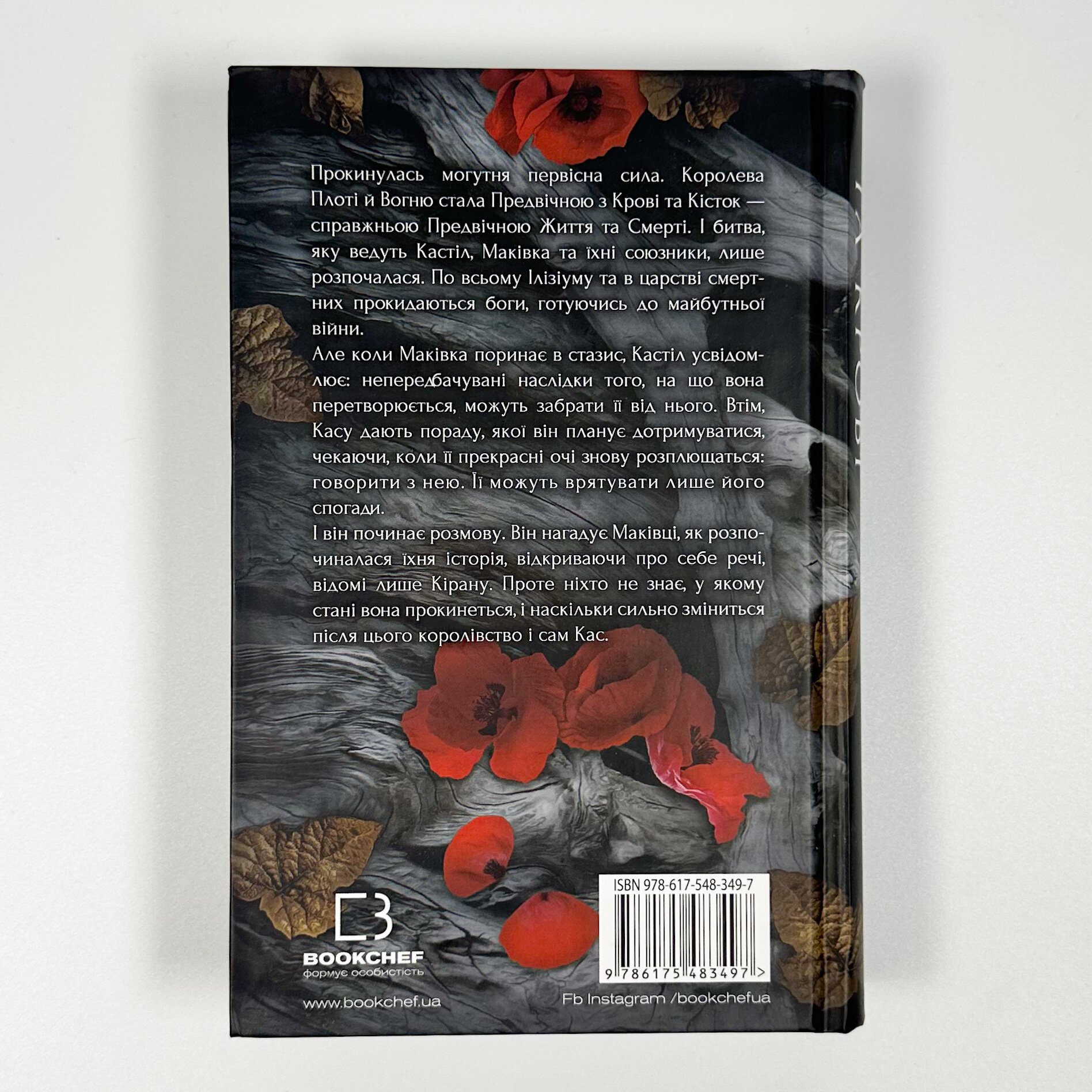 Кров і попіл. Книга 5. Душа з попелу та крові. Автор — Дженніфер Л. Арментраут. 