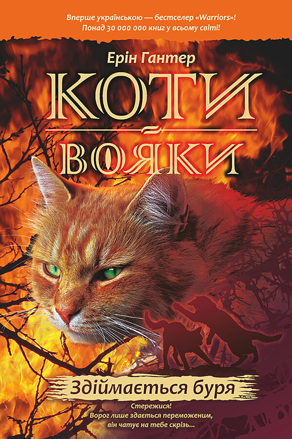Здіймається буря. Коти-вояки