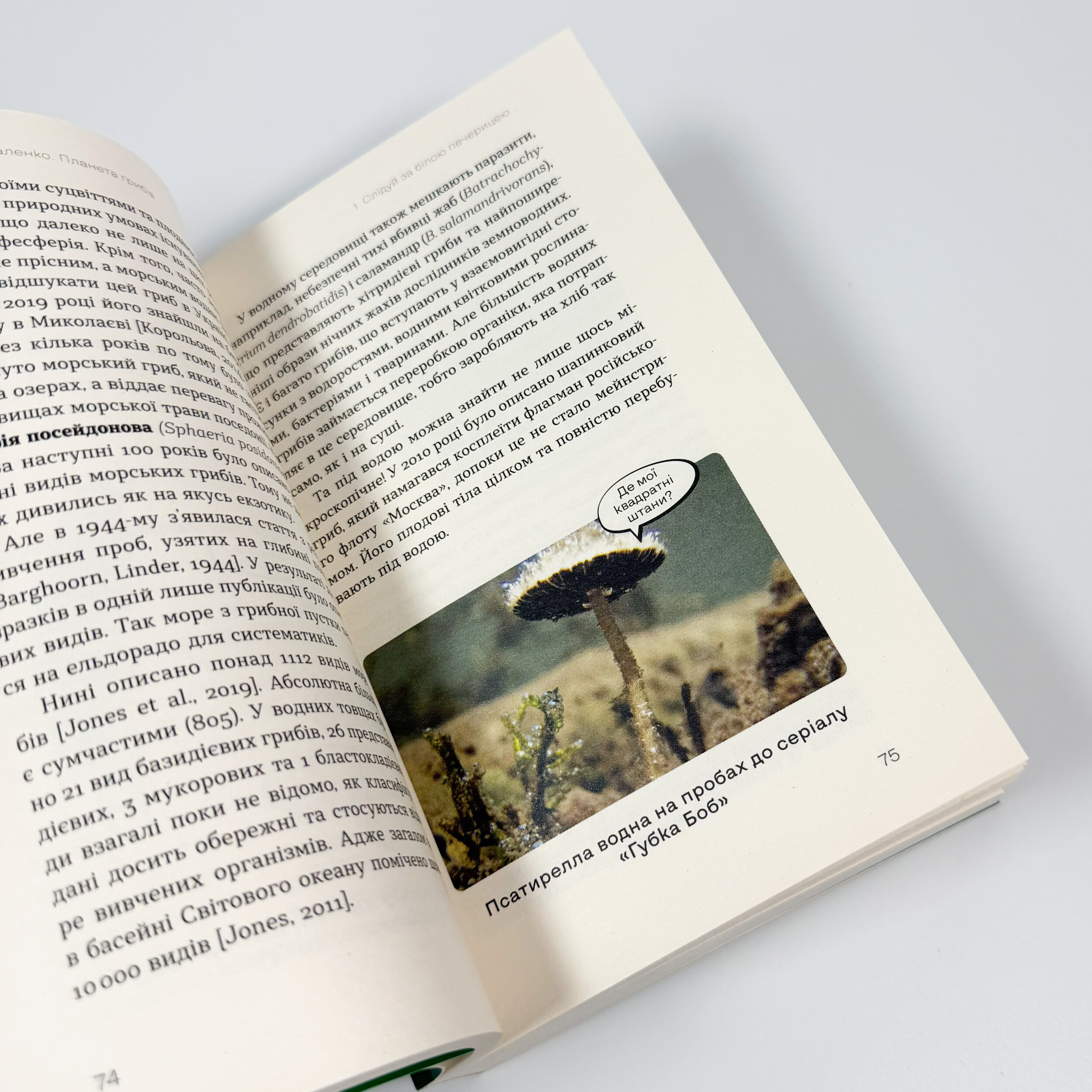 Планета грибів. Автор — Олексій Коваленко. 