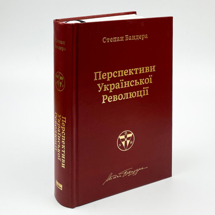 Перспективи української революції