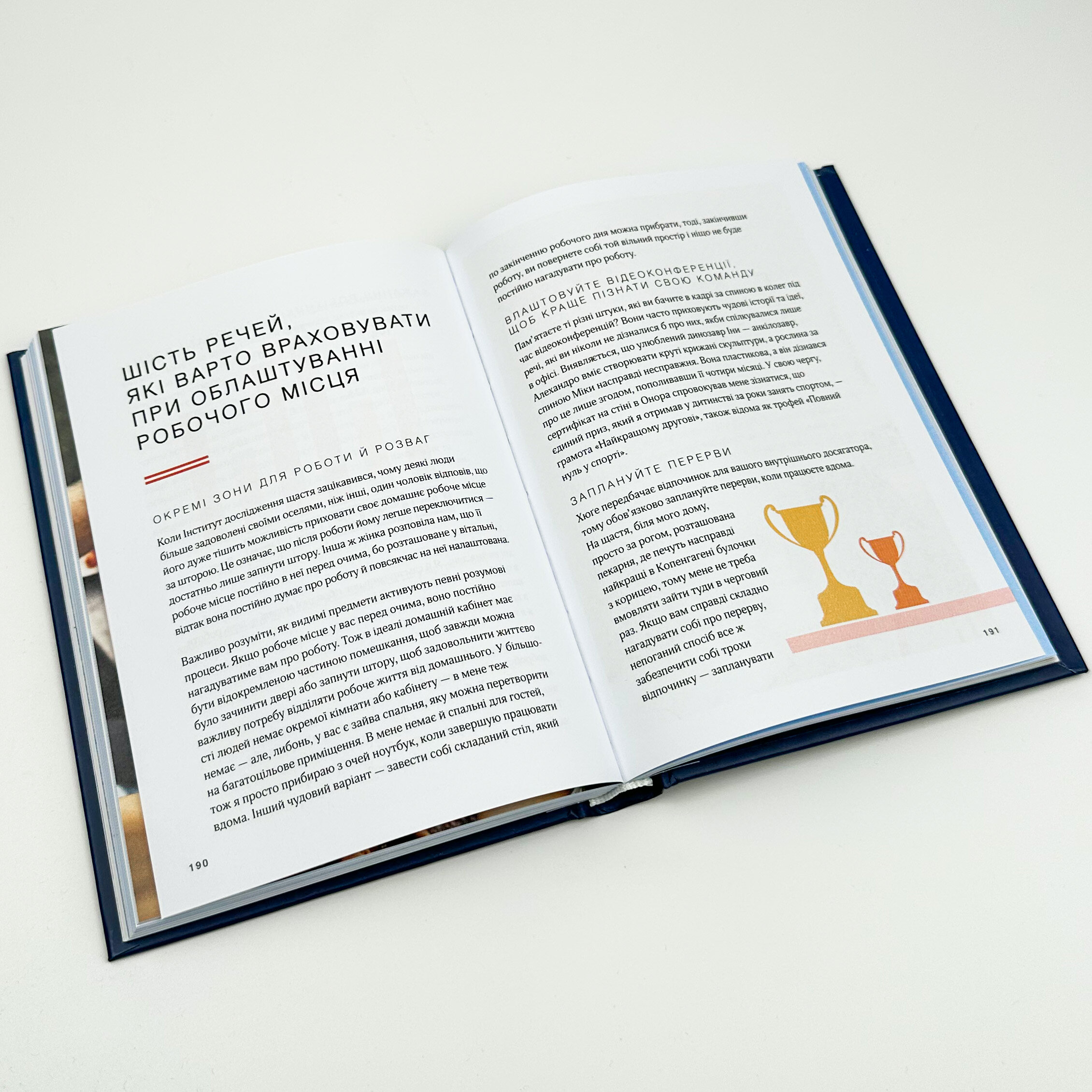 Дім хюґе. Автор — Мік Вікінг. 