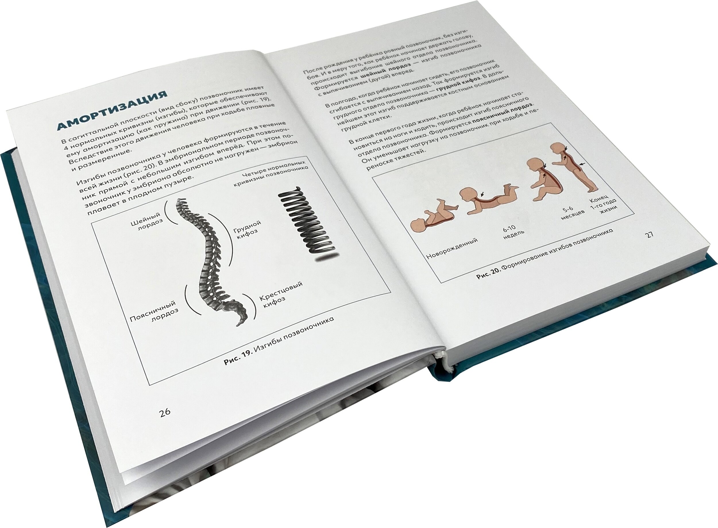 Здоровая спина. Автор — Владимир Голод. 