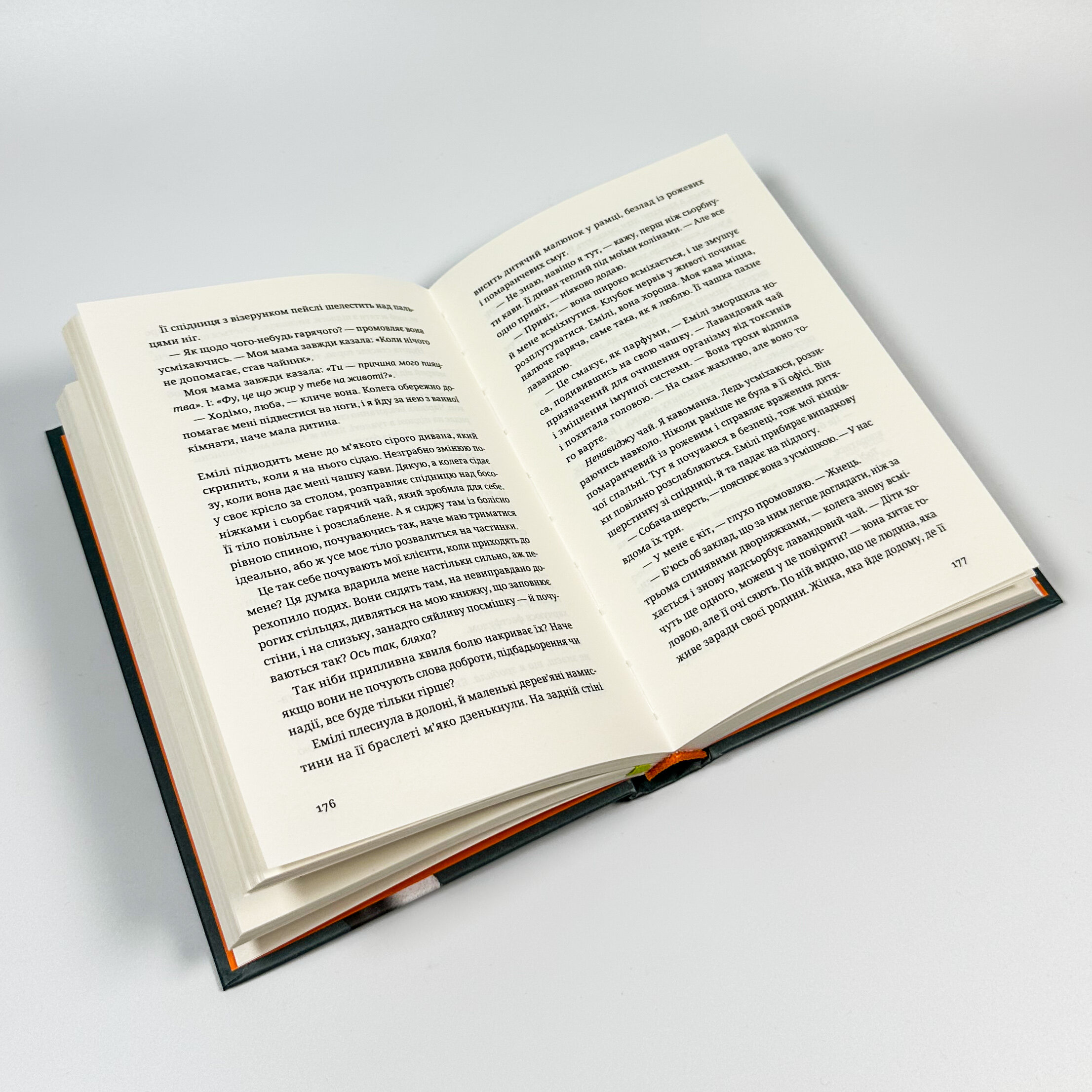 Незнайомець нагорі. Автор — Ліза М. Матлін. 