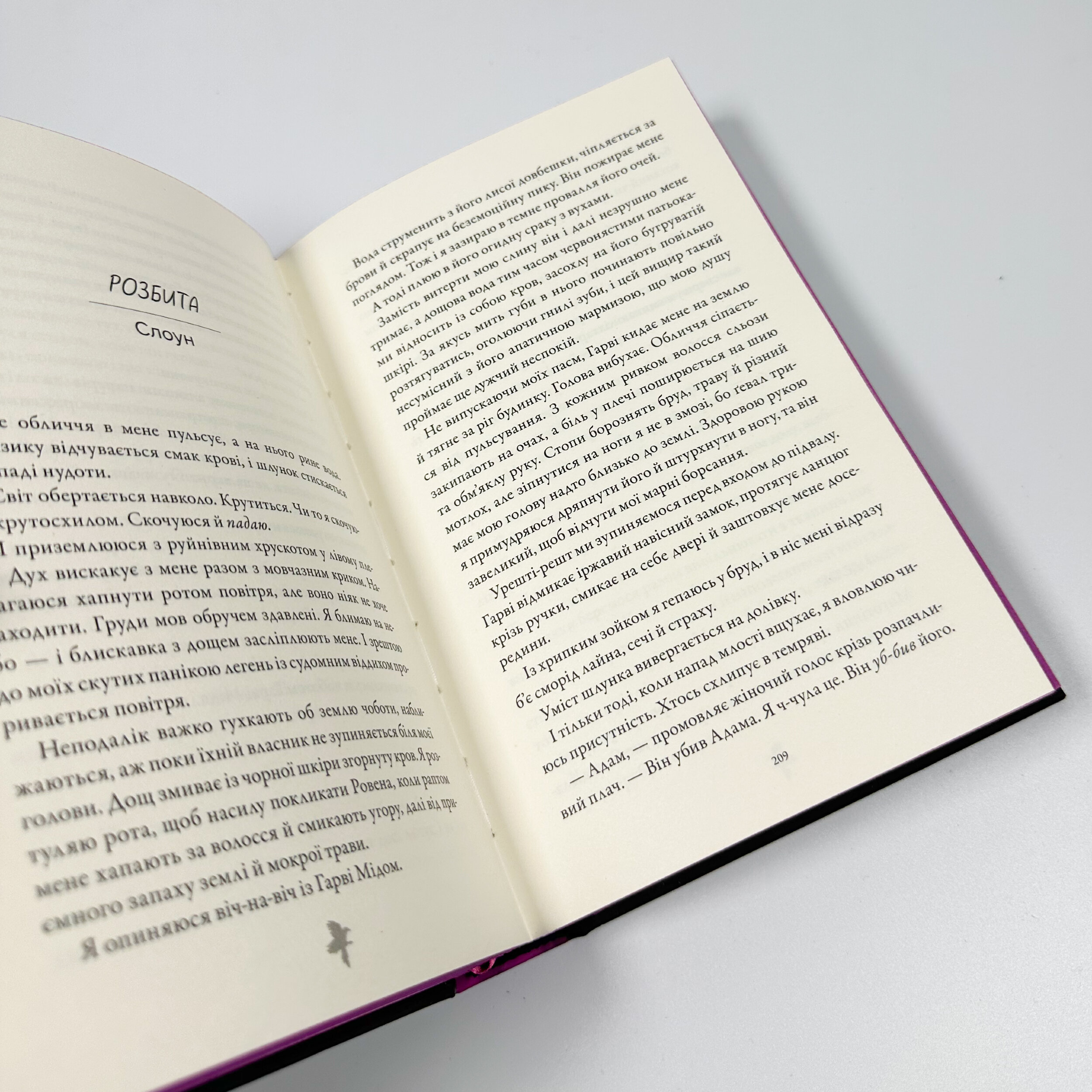 М'ясник та Чорна Пташка. Автор — Брінн Вівер. 