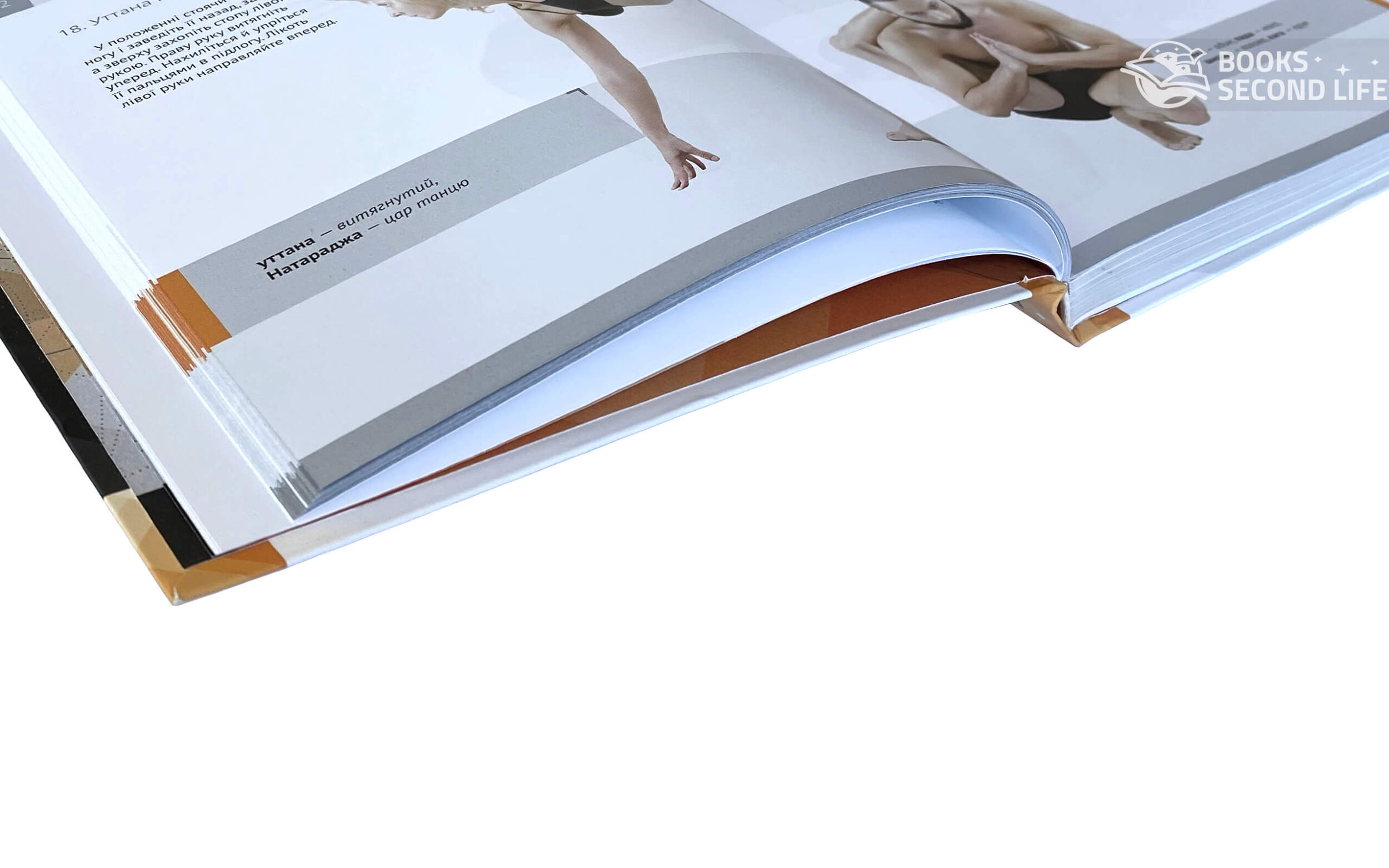 Хатха-йога Ілюстрована енциклопедія асан . Автор — Валентина Малиновская, Игорь Ткачев. 