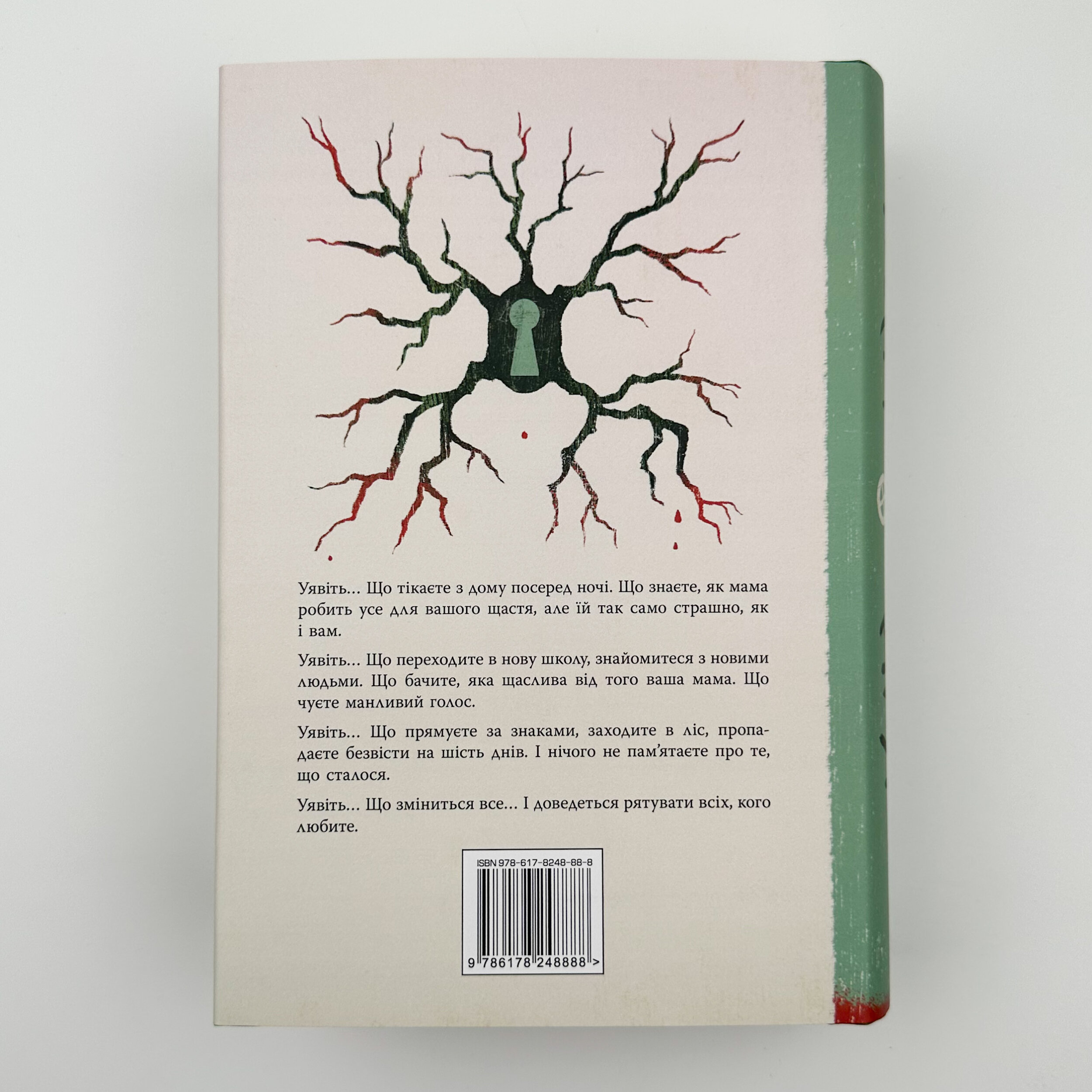 Уявний друг. Автор — Стивен Чбоски. 