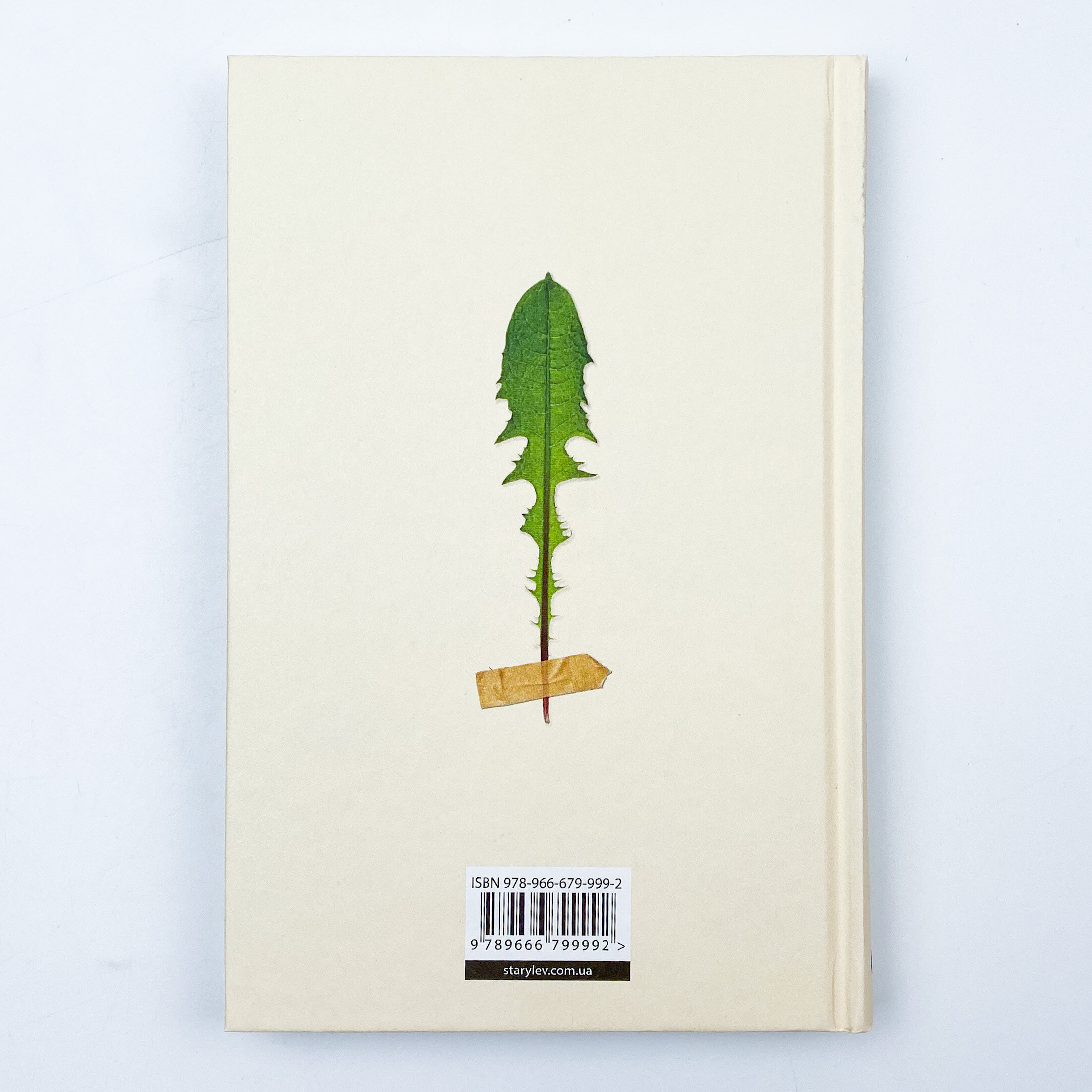 Кульбаба. Автор — Квітка Налада. 