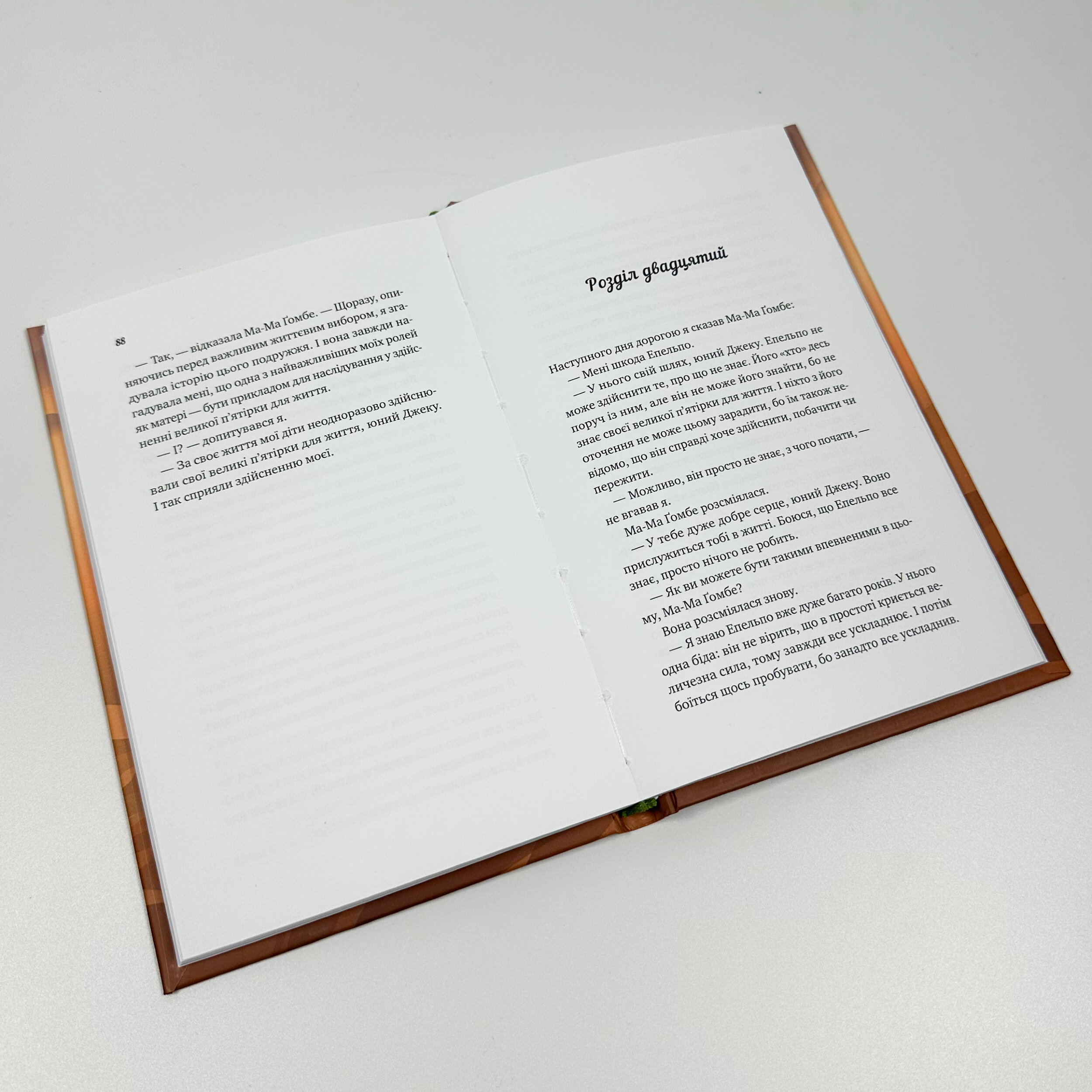 Життєве сафарі. Автор — Джон Стрелеки. 