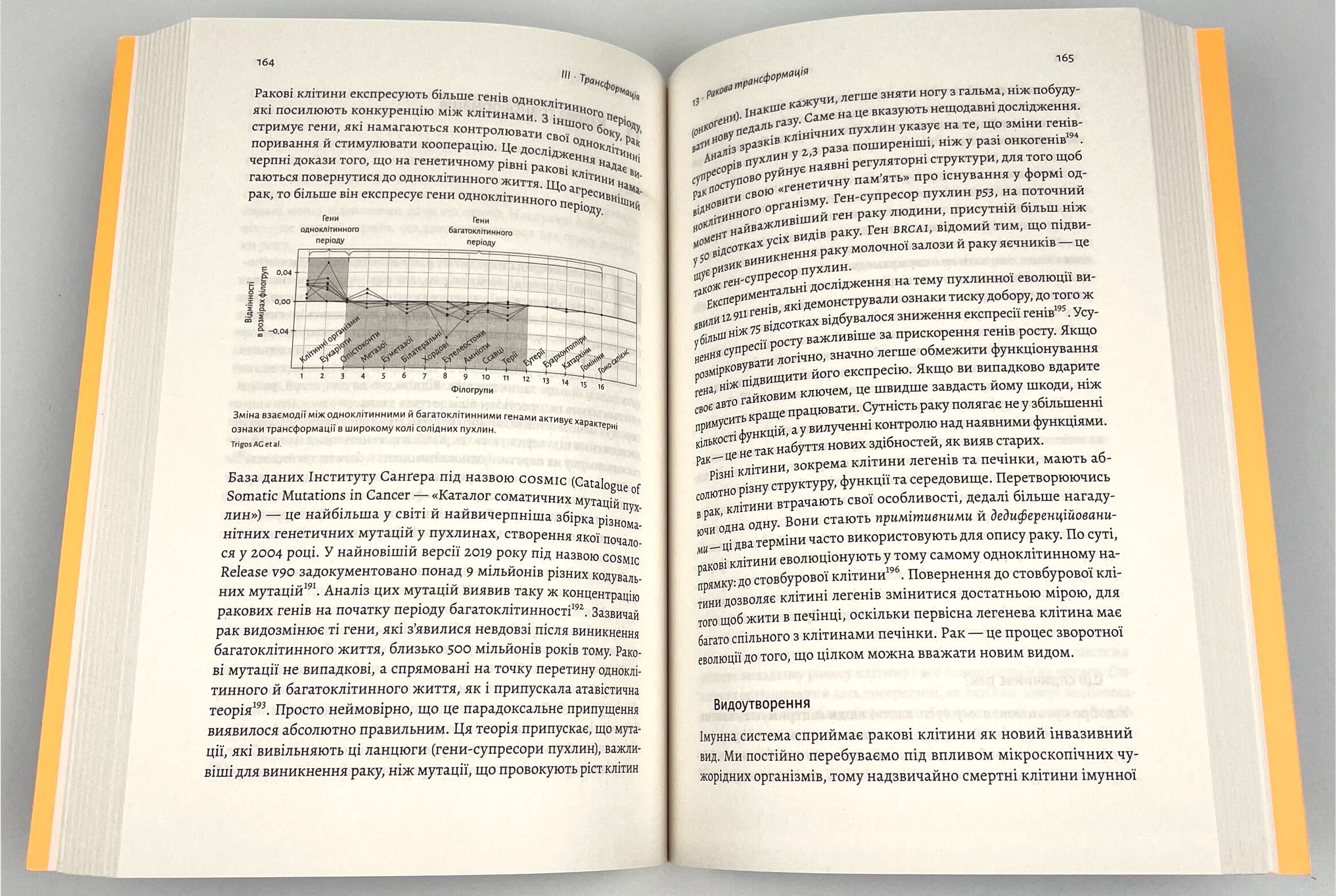 Рак. Новий підхід у дослідженні хвороби. Автор — Джейсон Фанг. 