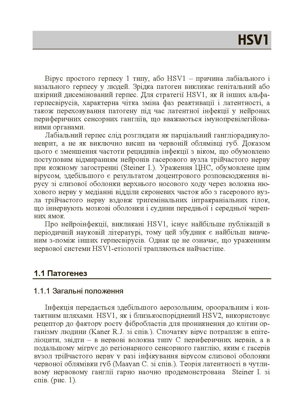 Герпесвірусні нейроінфекції людини. Автор — Мальцев Д.В.. 