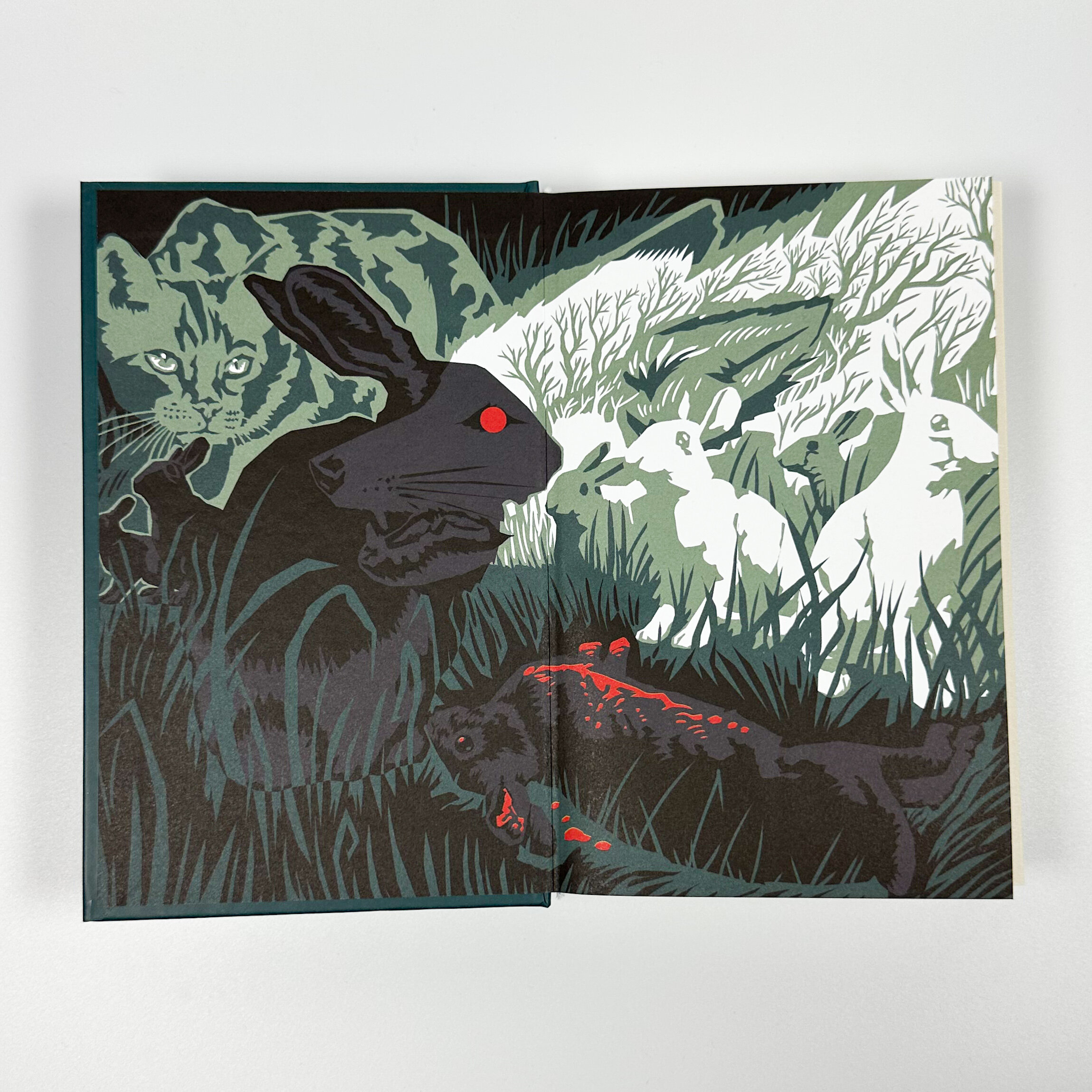 Небезпечні мандри. Автор — Річард Адамс. 