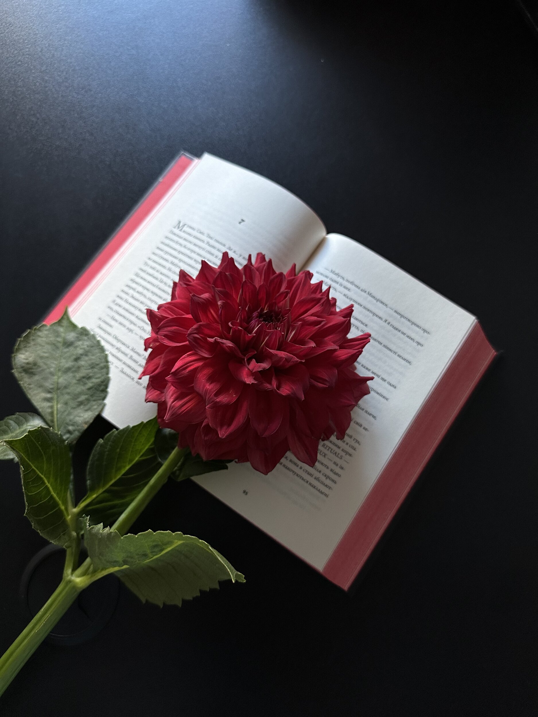 Rouge. Автор — Мона Авад. 