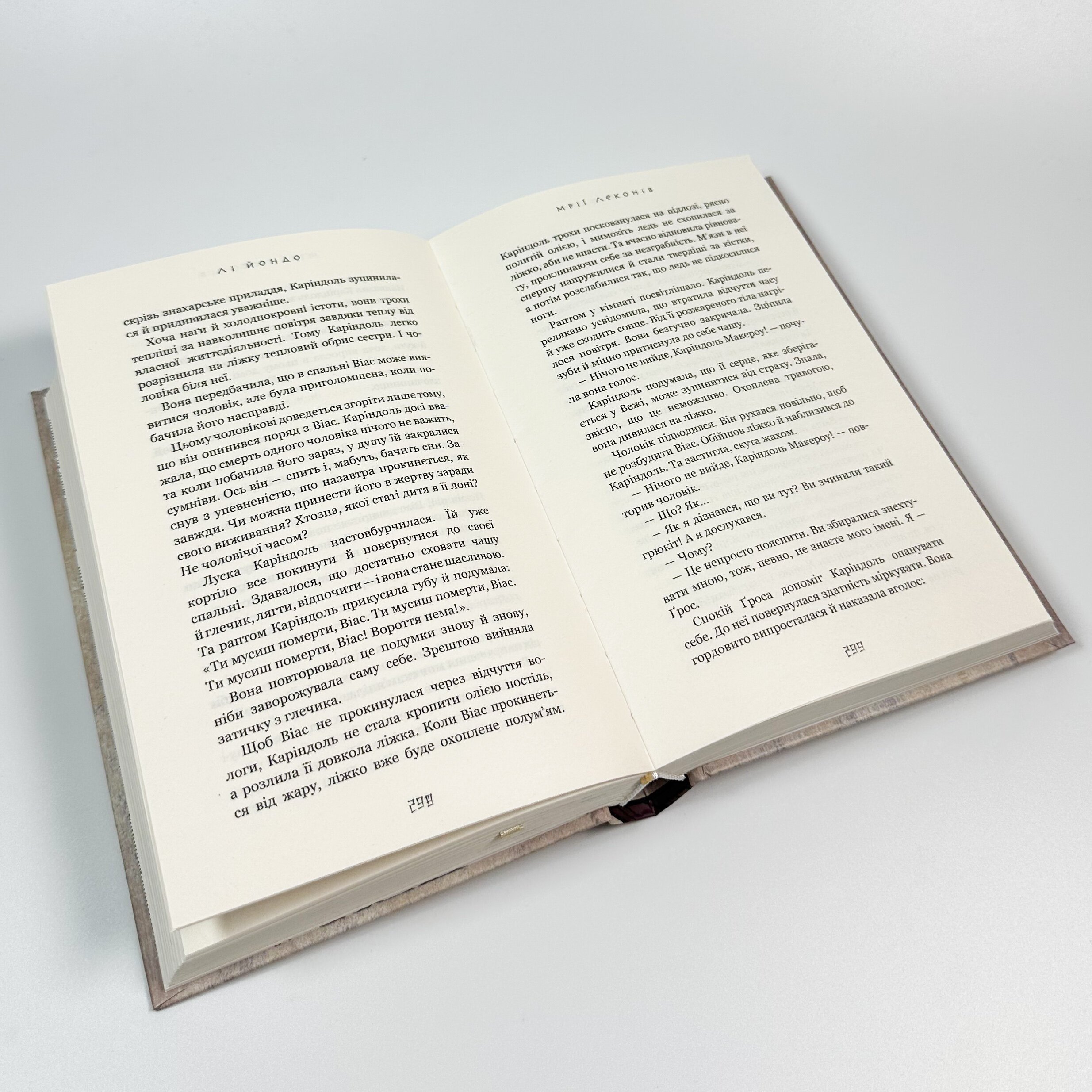 Той птах, що п’є сльози. Книга 2: Мрії леконів. Автор — Лі Йондо. 