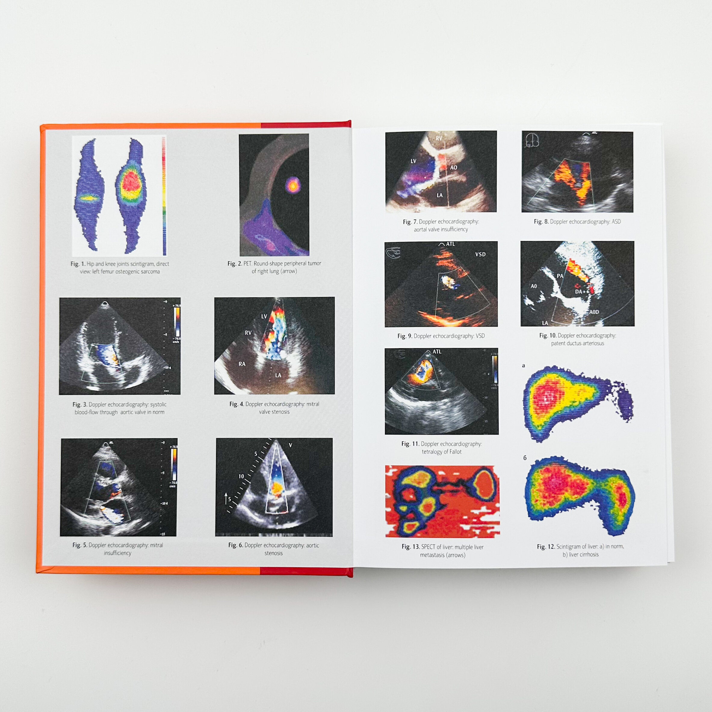 Radiology. Radiotherapy. Diagnostic Imaging